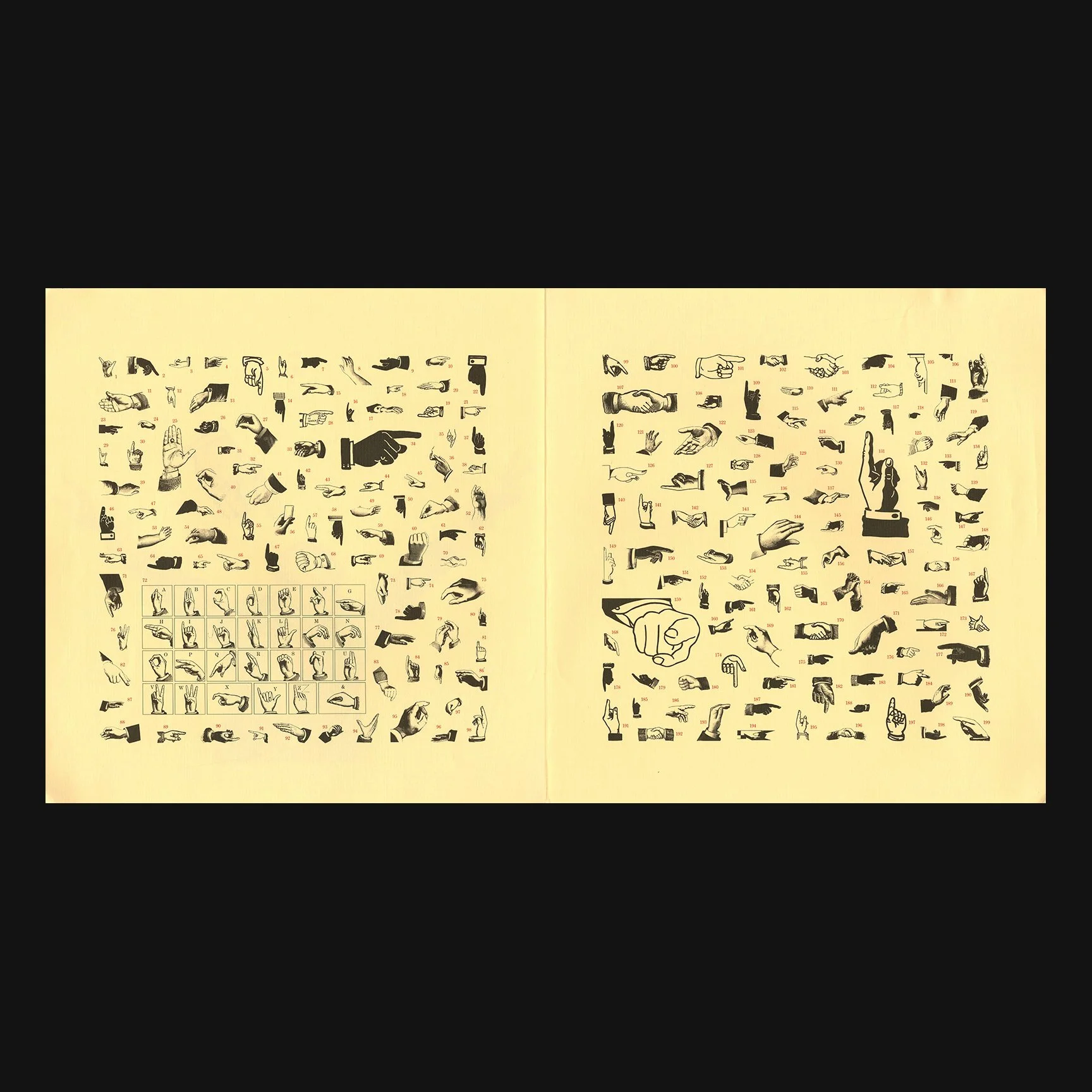 scher_dingbats_portfolio_19.jpg