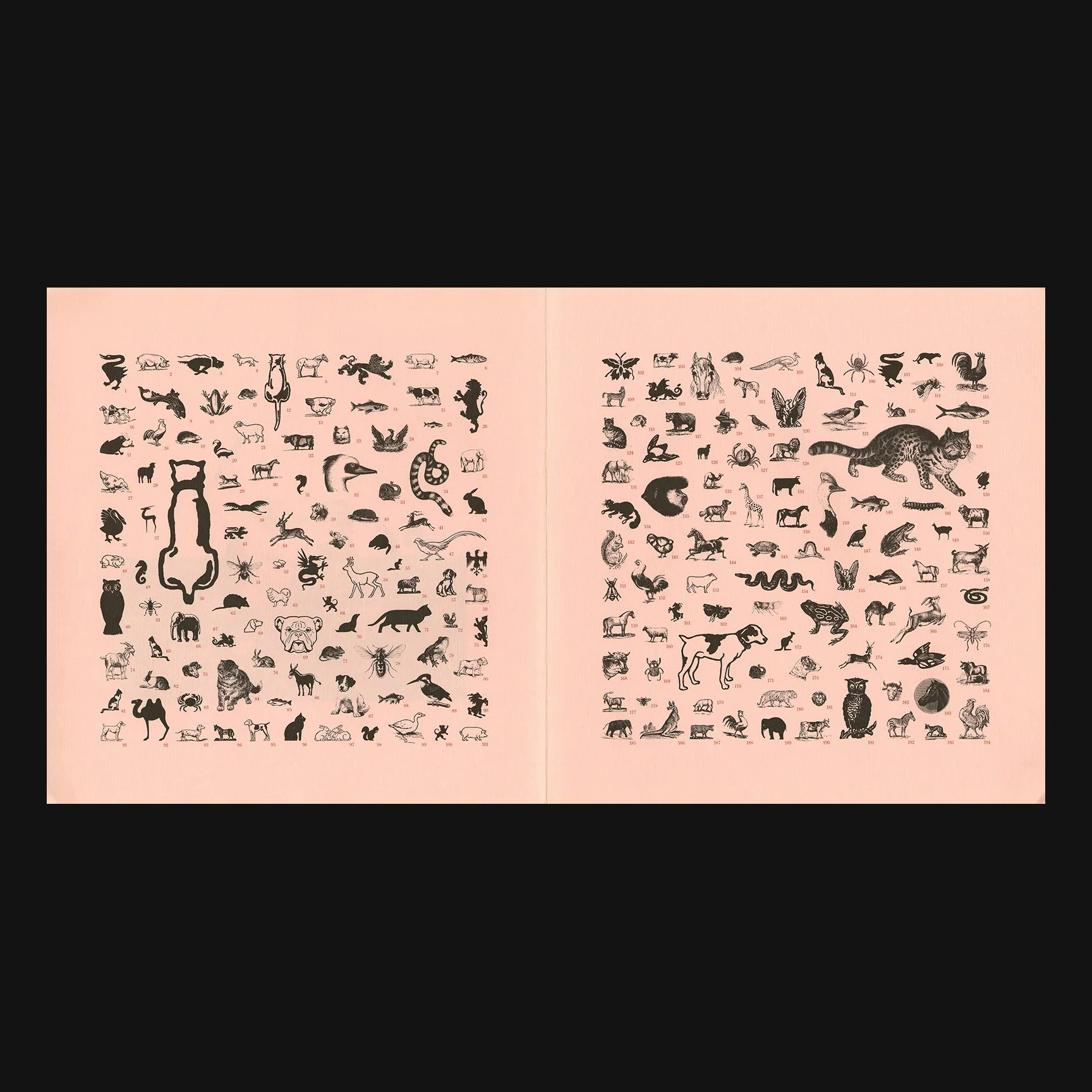 scher_dingbats_portfolio_21.jpg
