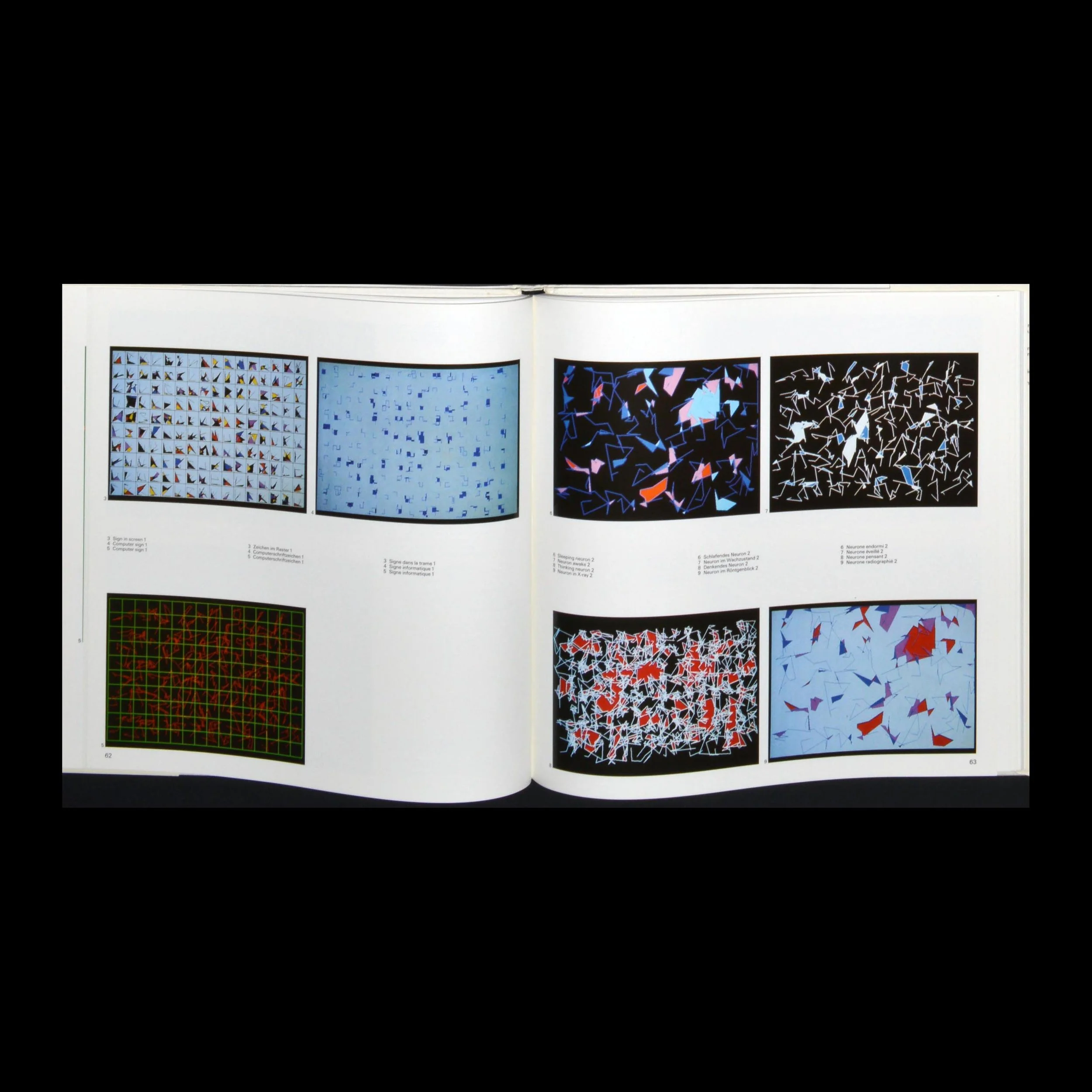 experiment_design_biesele_05.JPG