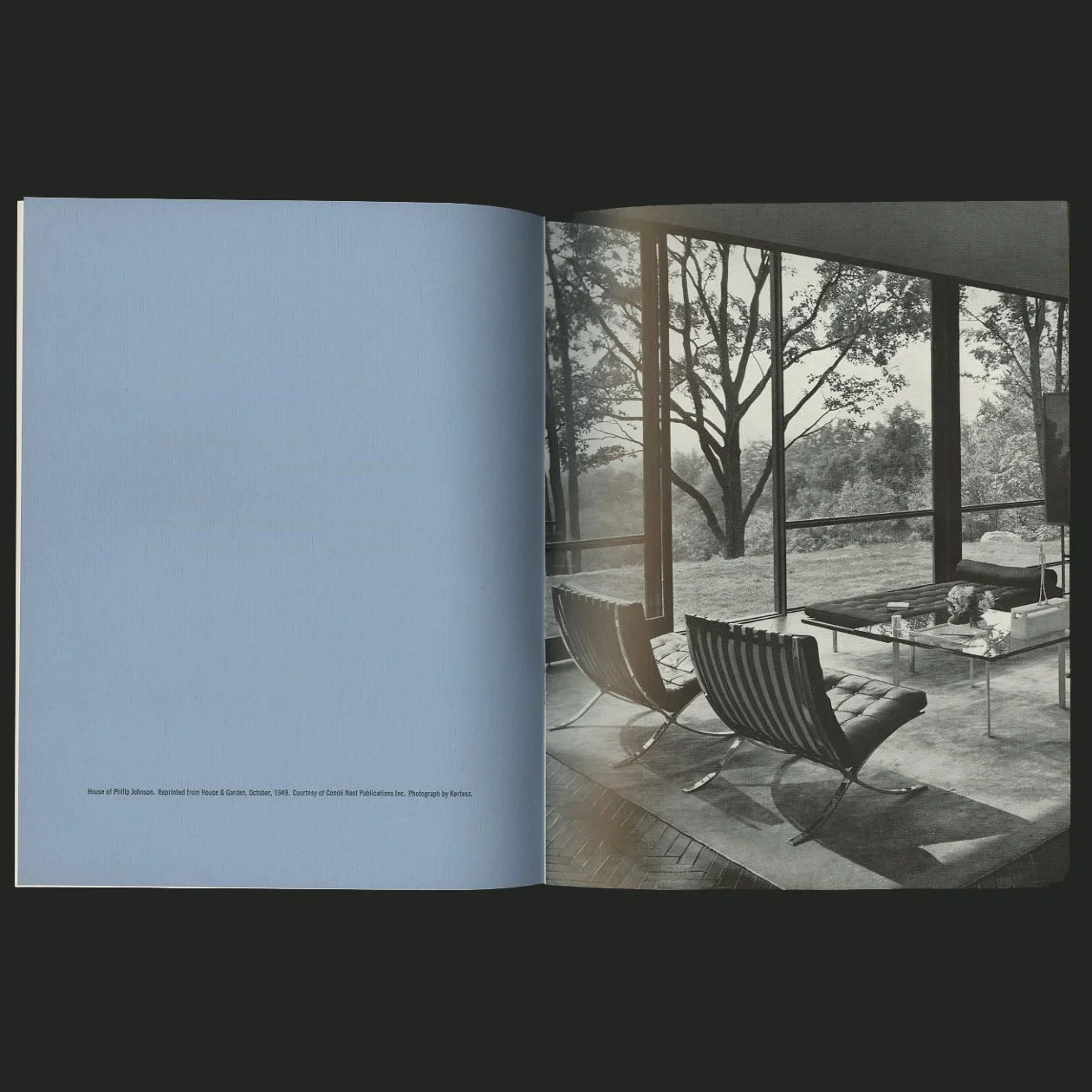 knoll_mies_1965_02.jpg