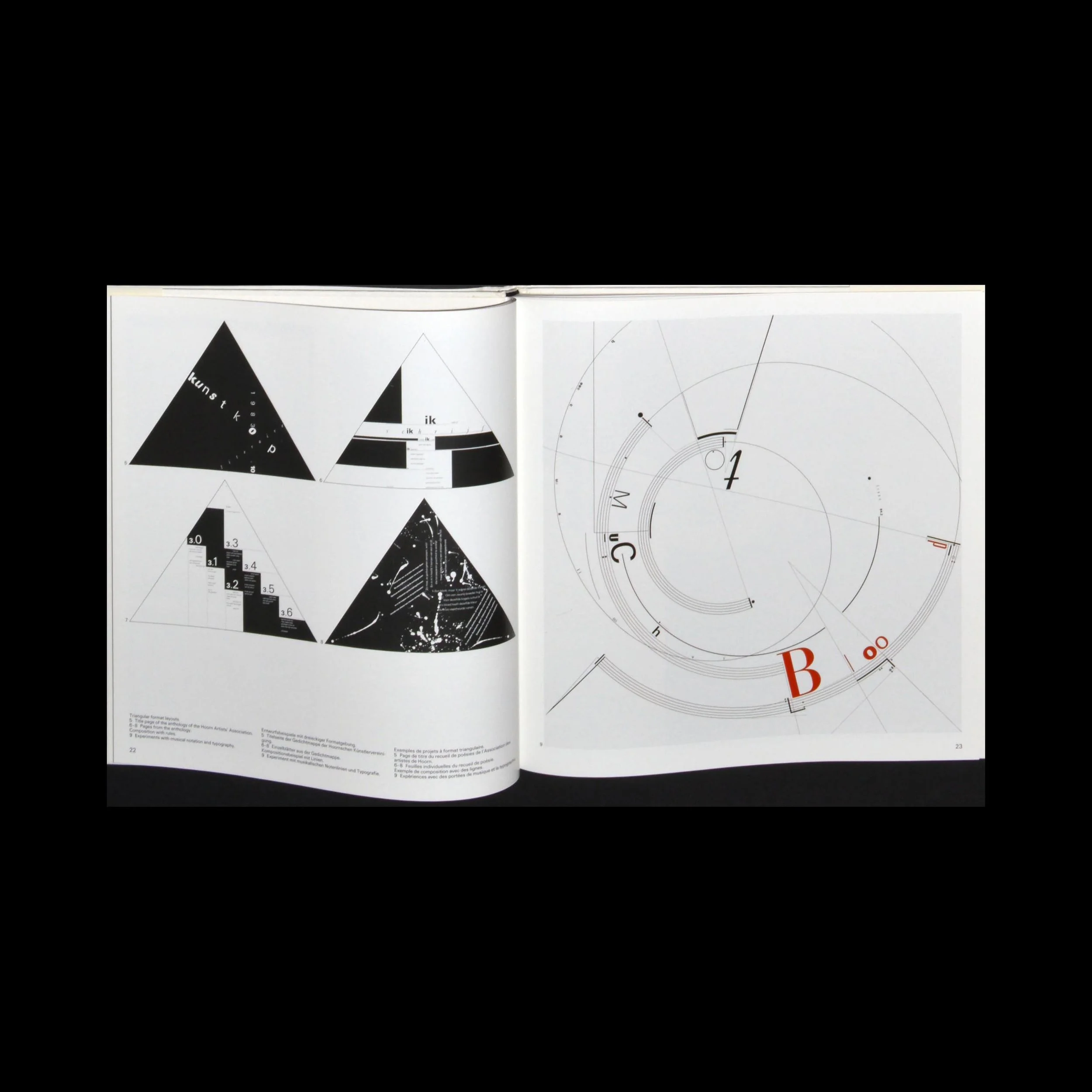 experiment_design_biesele_01.JPG