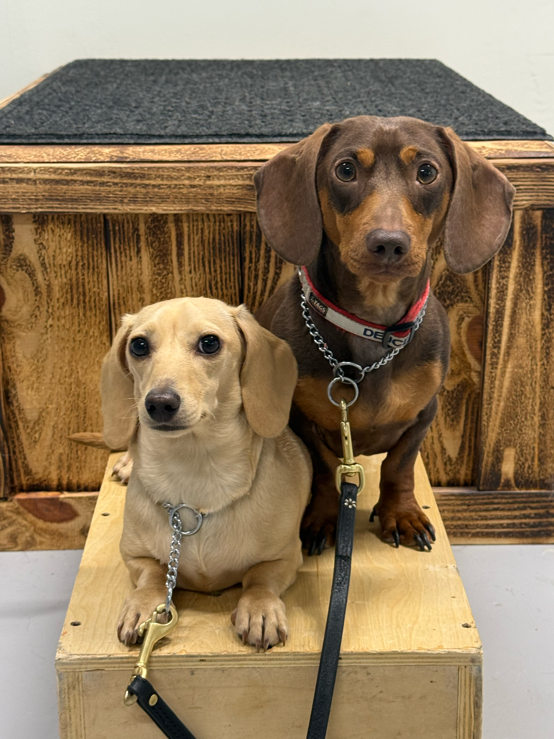 Deuce + Dixie