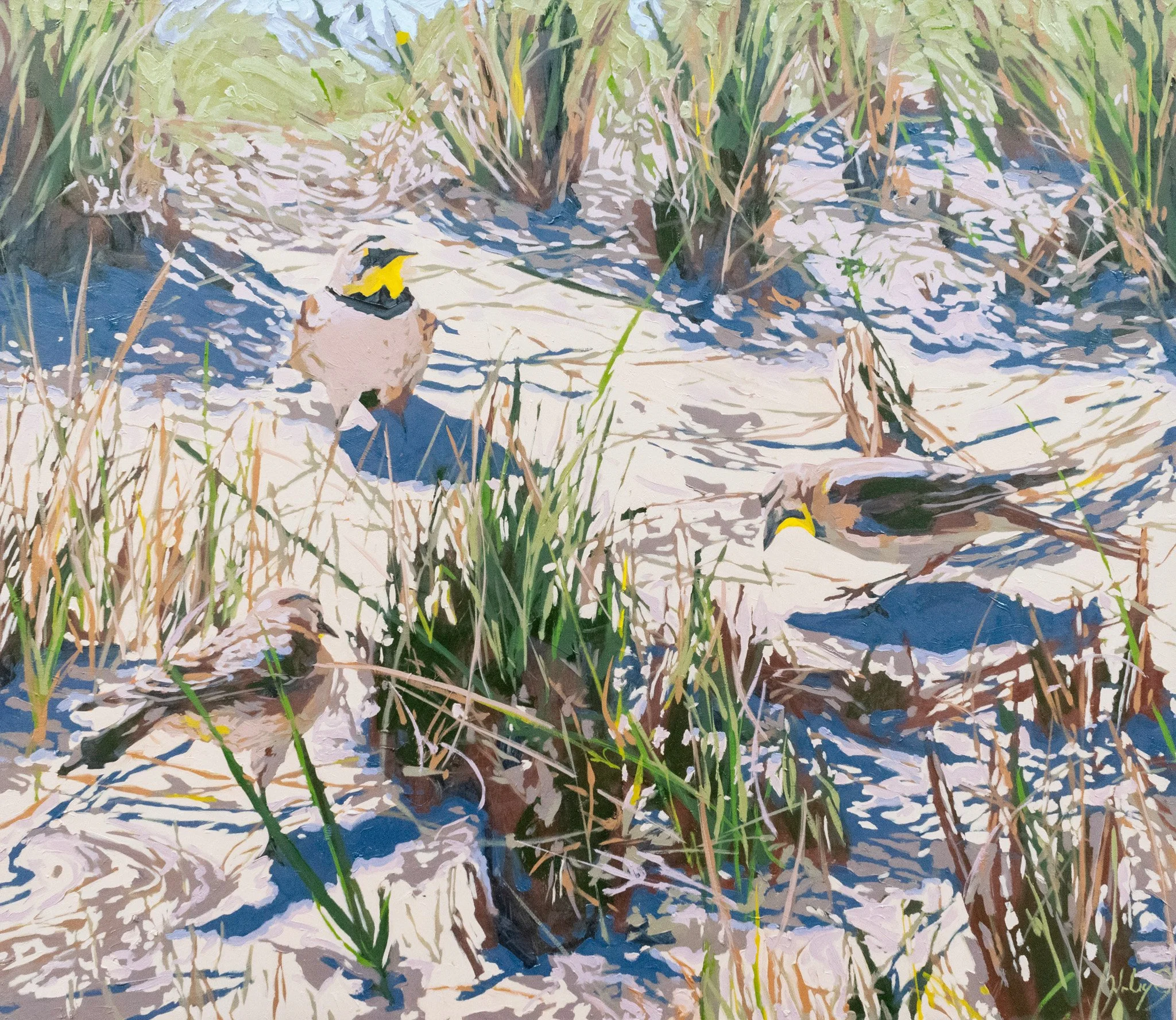 The Song of the Dunes, 26x30", oil on canvas, 2024, sold 