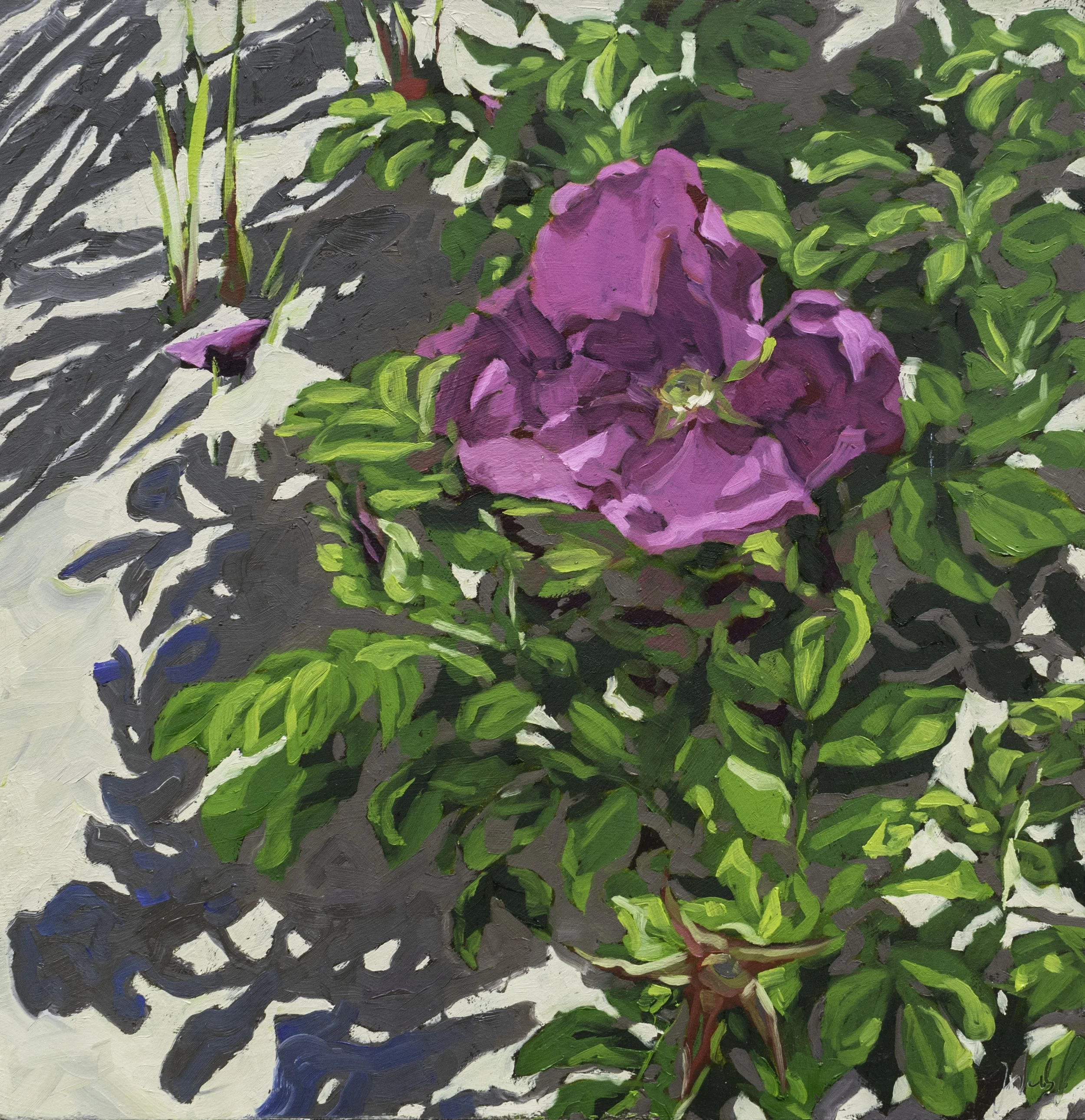 In Full Bloom, 17.25x16.75", oil on board, 2024, $300