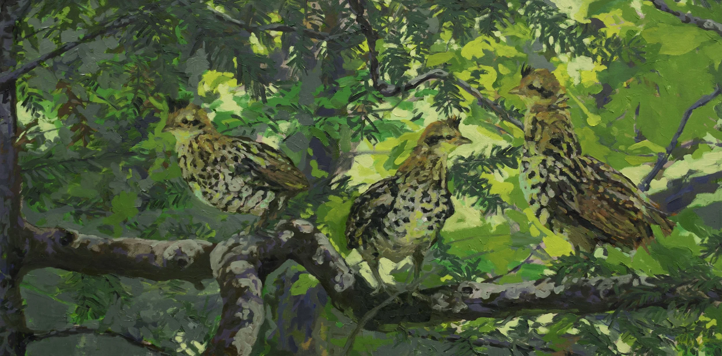 West Branch Grouse Crossing, 20x40", oil on canvas, 2023, sold
