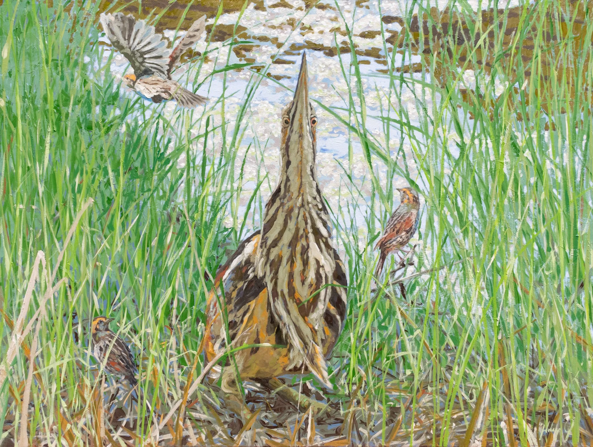 Life in the Cordgrass, 36x48", oil on canvas, 2023, $2,000
