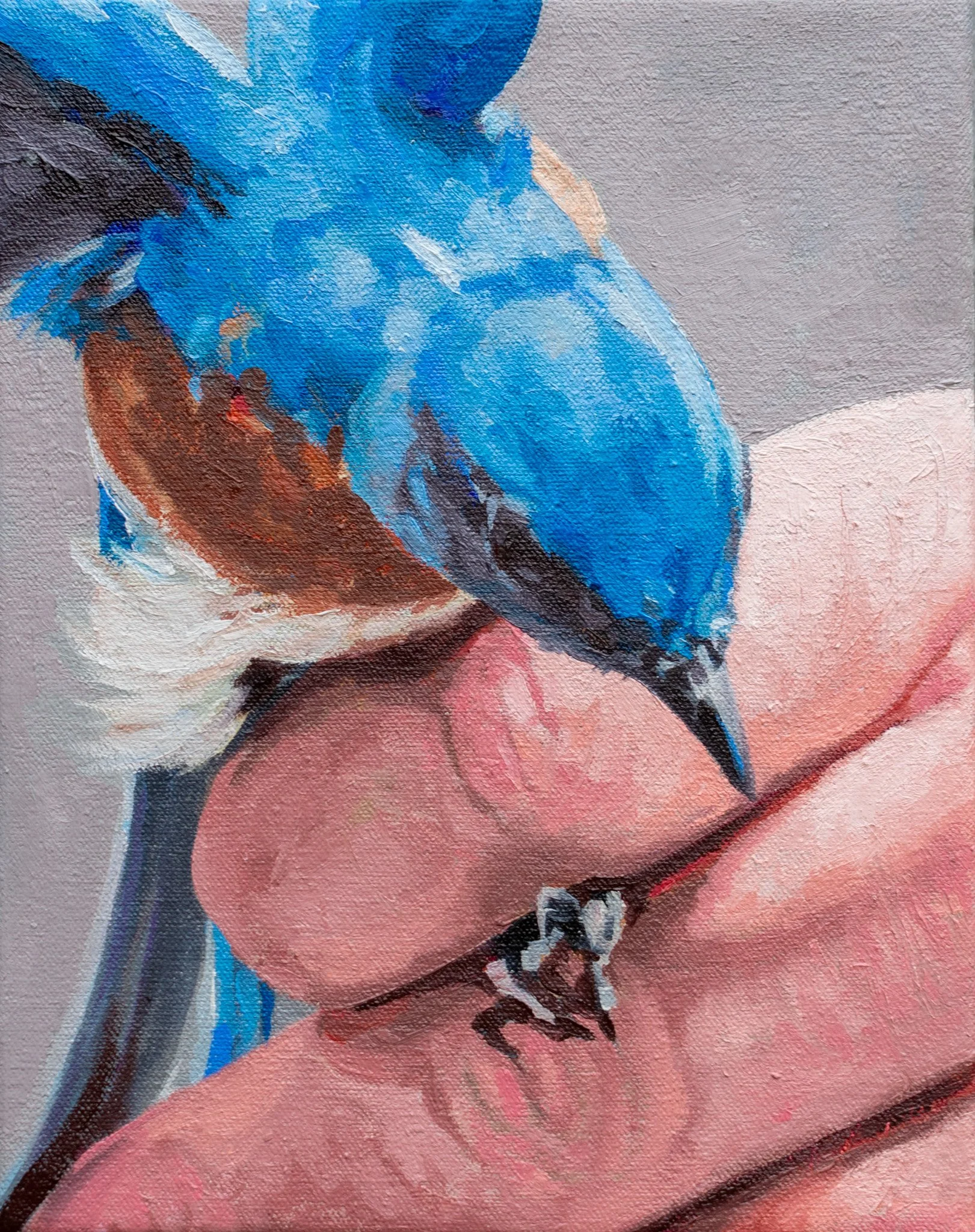 Blue Band, 10x8",. oil on canvas, 2024, sold 