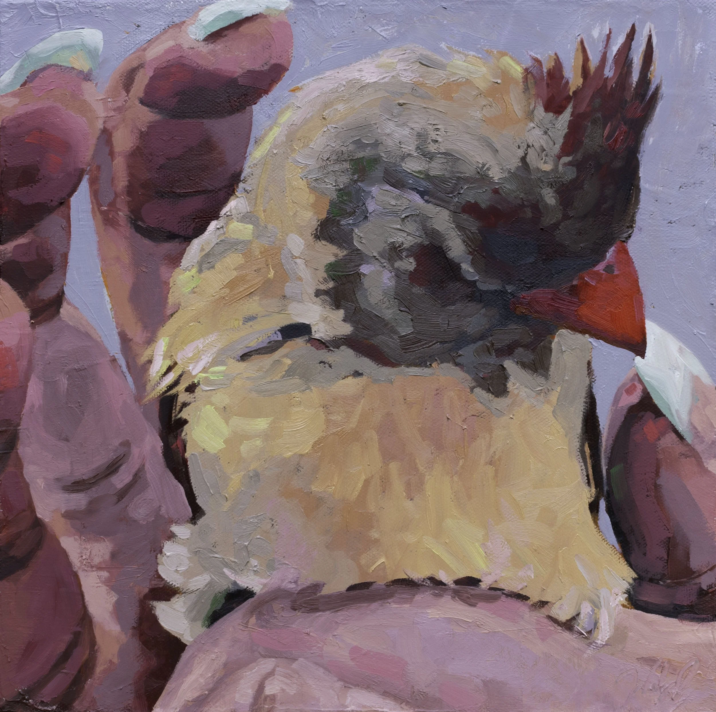 Sheridan with Cardinal, 12x12", oil on canvas, 2024, $275