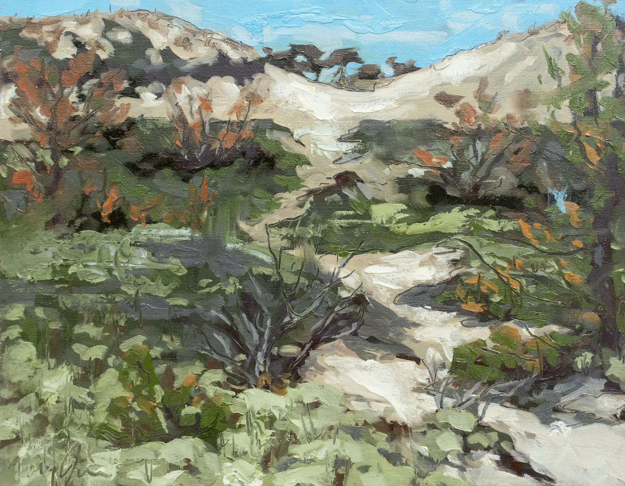 Dune Landscape, 11x14", oil on canvas board, 2024, $100
