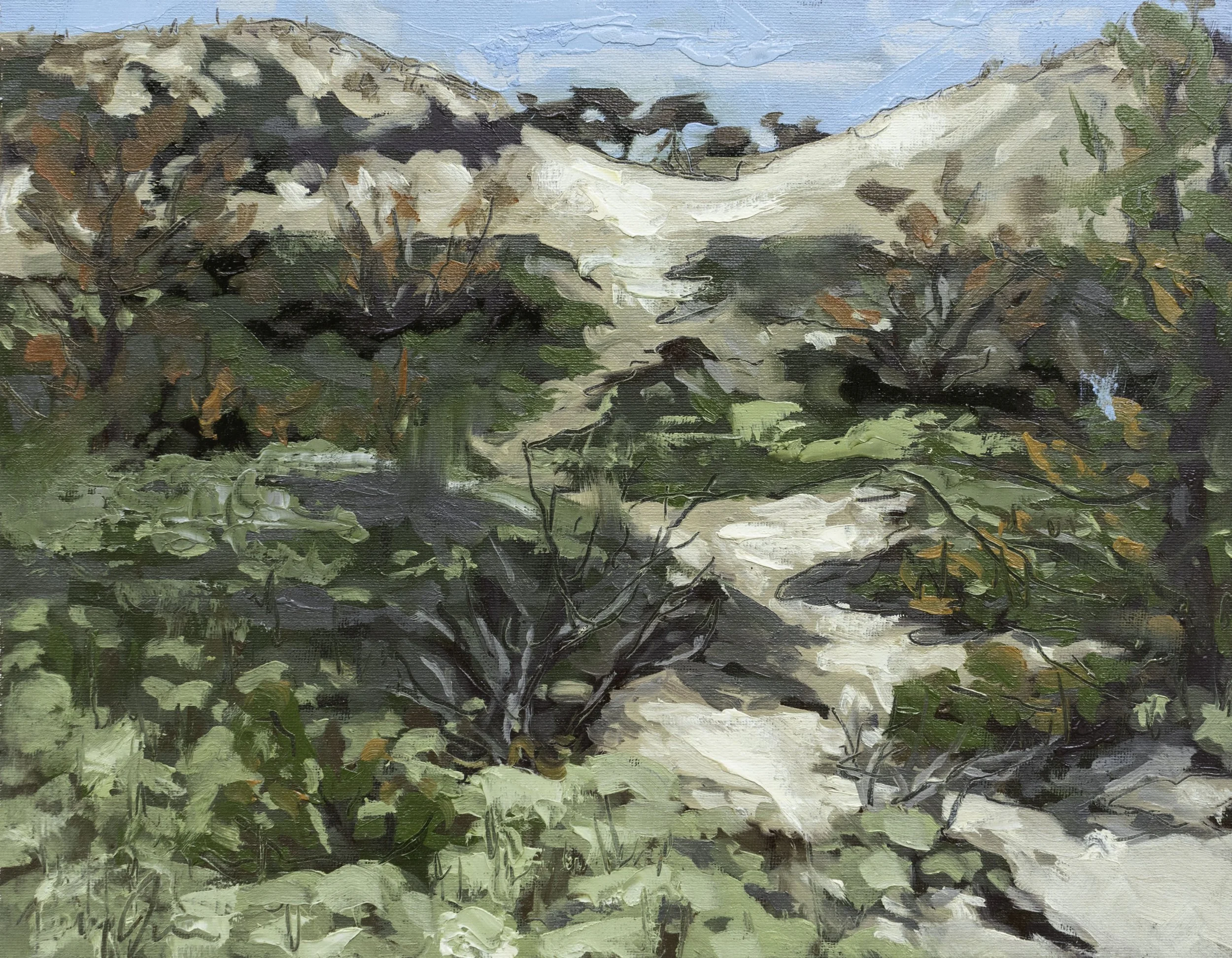 Dune Landscape, 11x14", oil on canvas board, 2024, $100