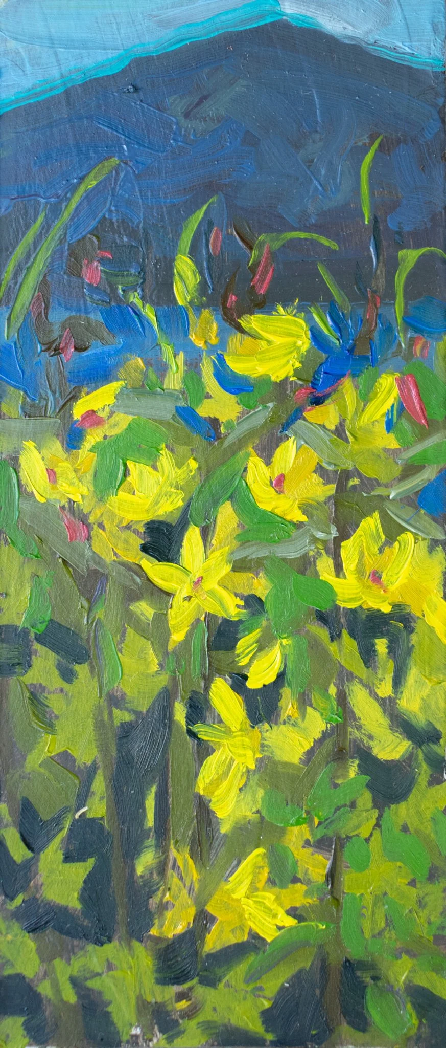 Dotted Loosestrife, 7x3", oil on crescent board, 2026, $75