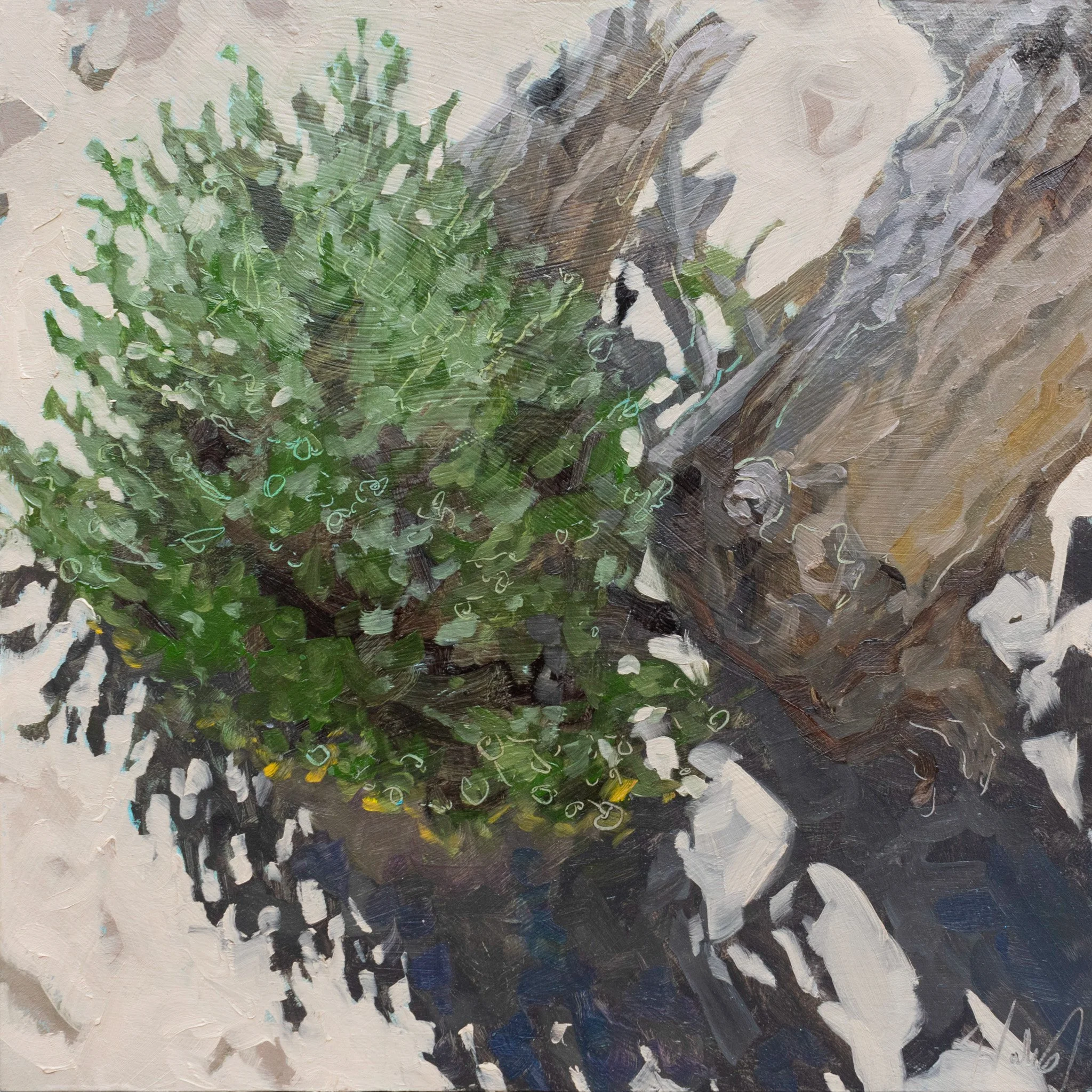 Shadows in the Sand, 12x12", oil on cradled panel, 2024, $150