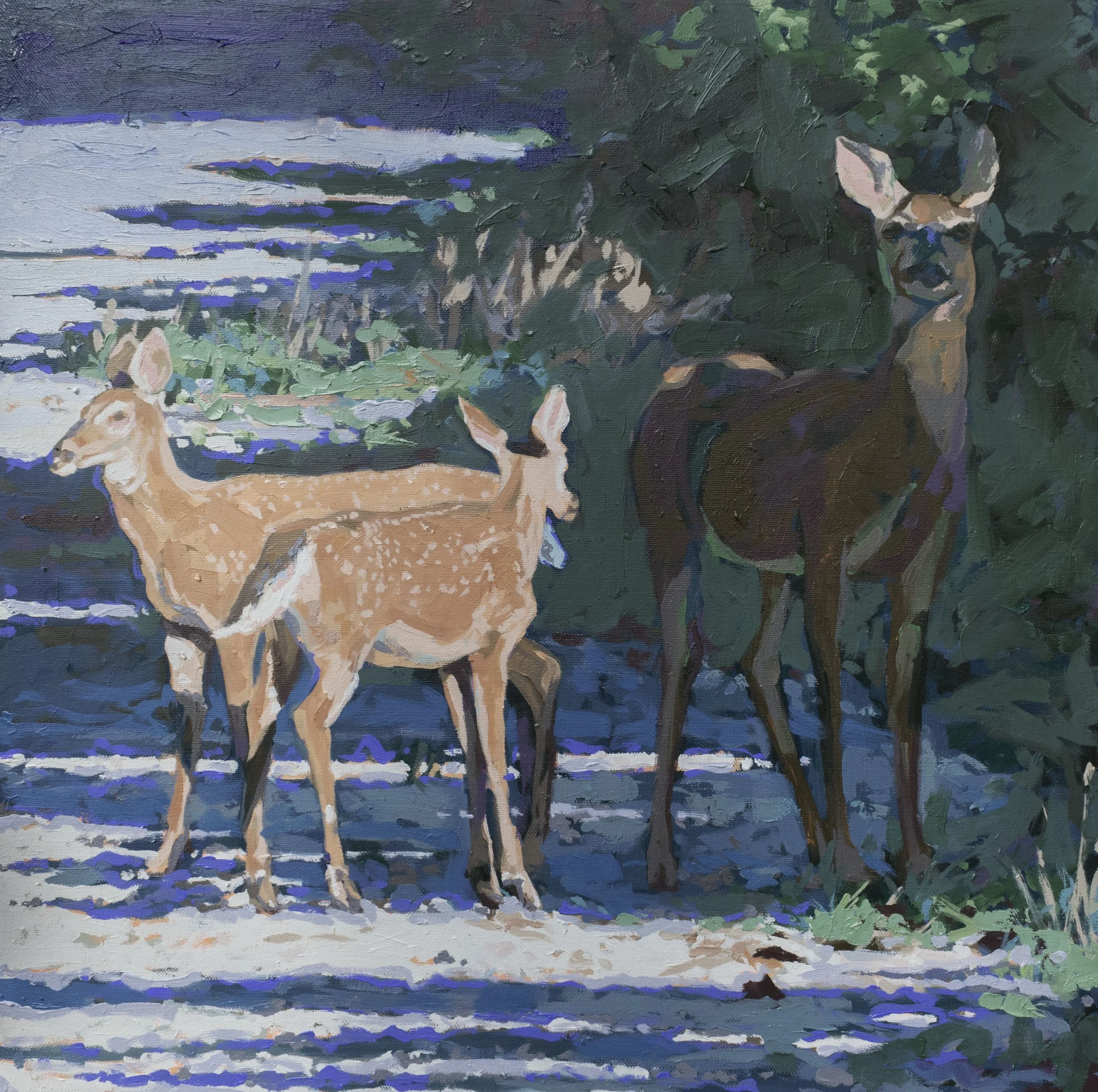 Not So Fast, 18x18", oil on canvas, 2026, $650