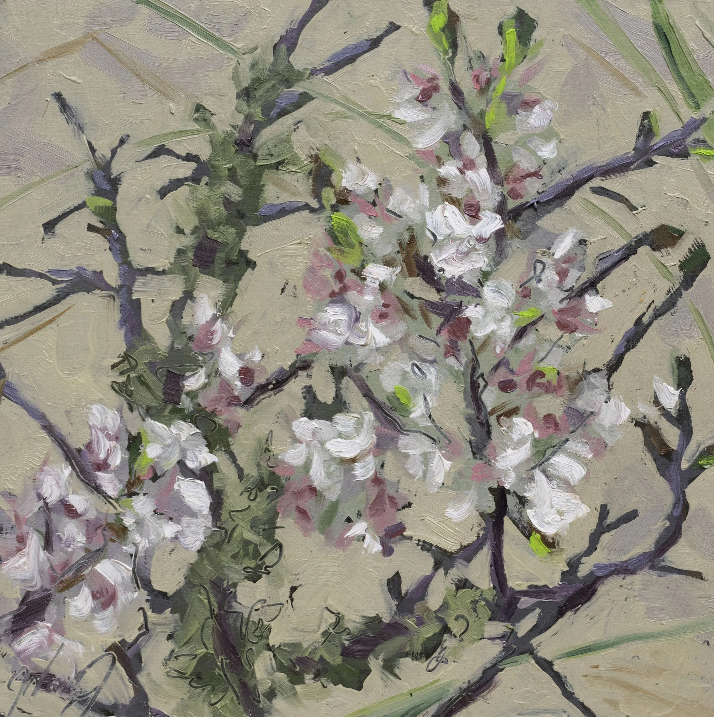 Sand Cherry, 8x8", oil on cradled panel, 2024, $100