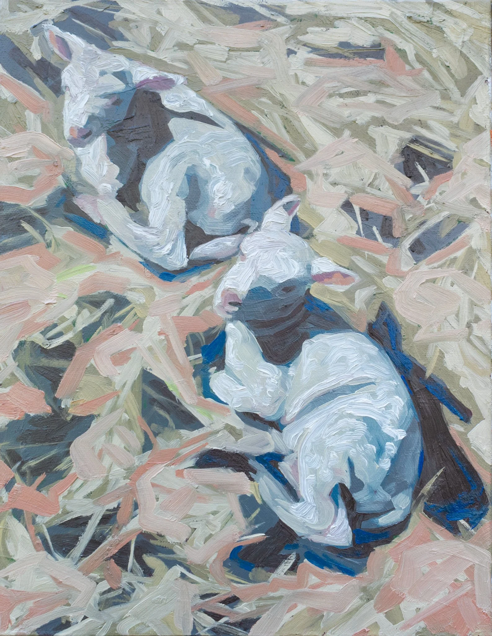 Two Sheep, 14x11", oil on canvas, 2026, sold