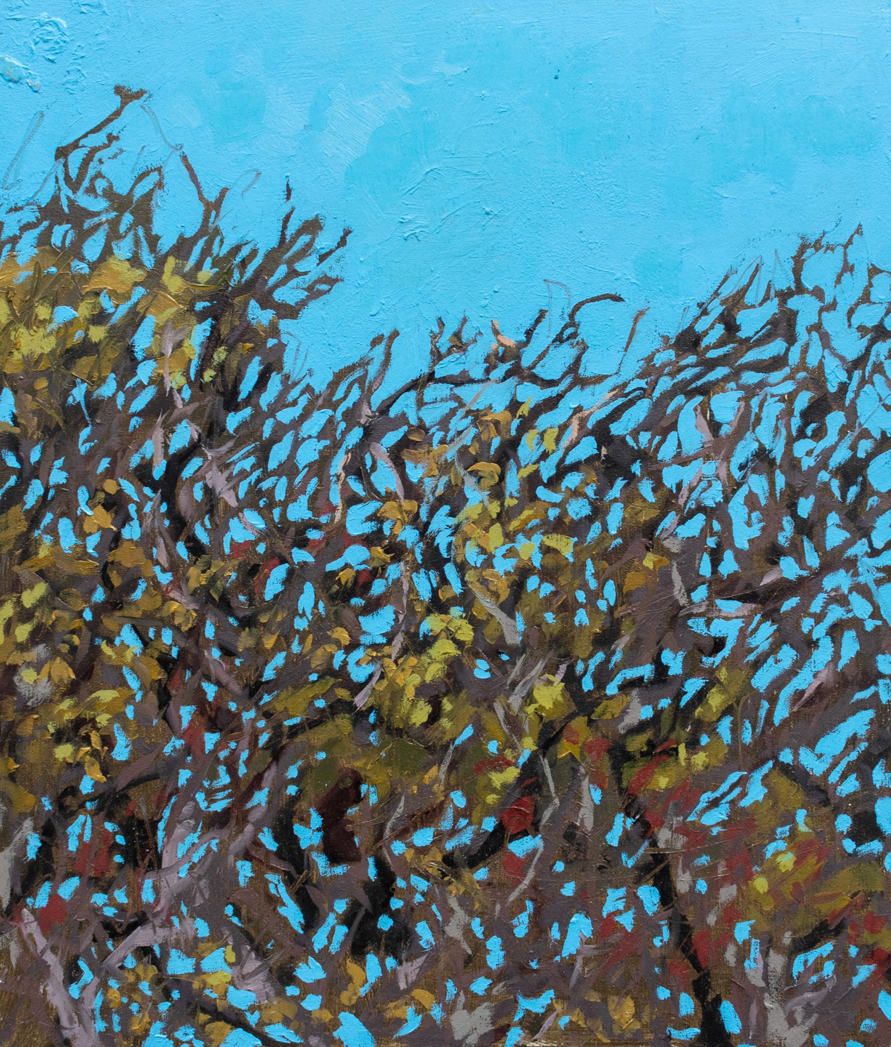 Where the Merlin Landed, 14x12", oil on board, 2024, $150