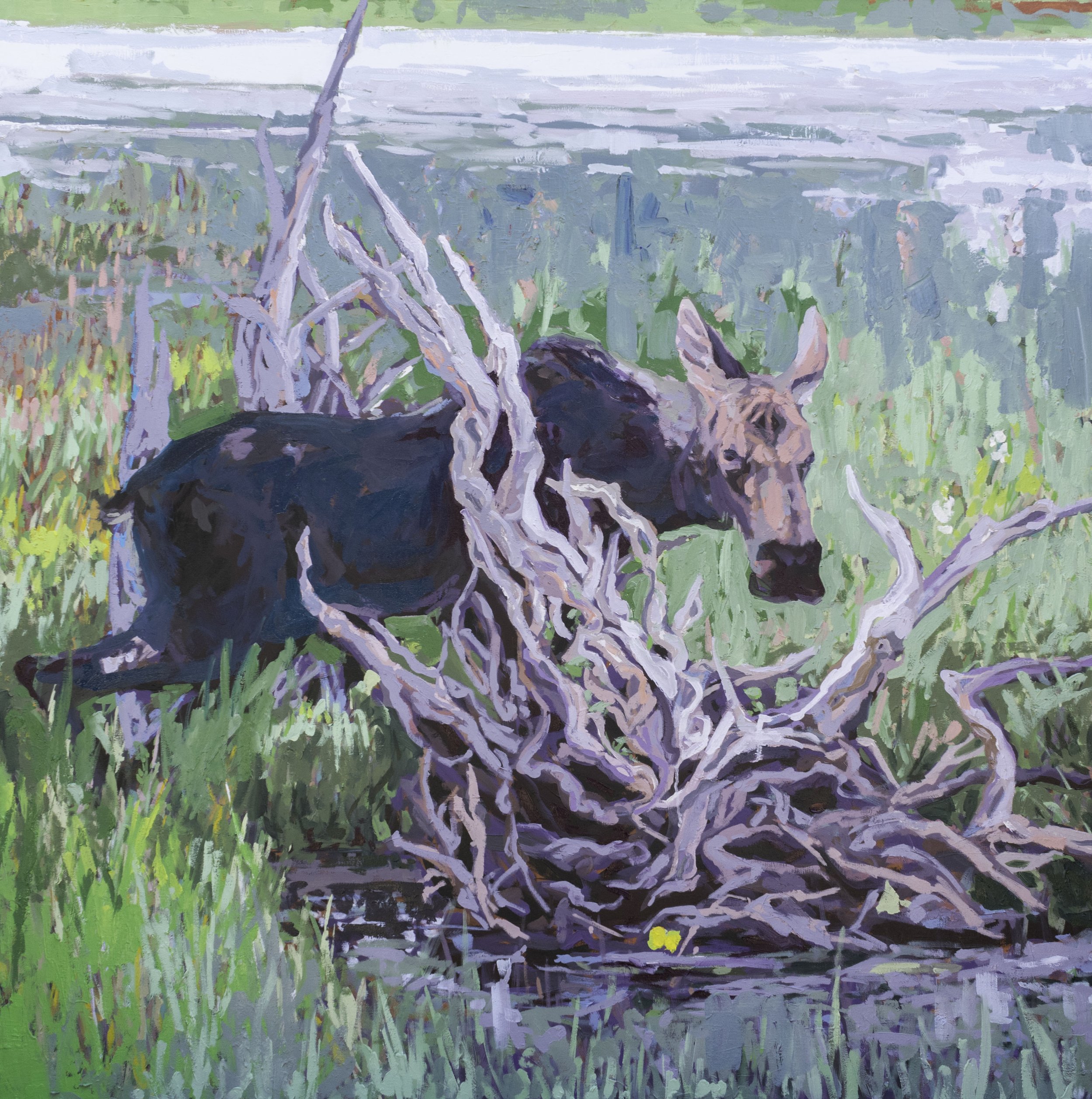 Bones, 42x42", oil on canvas, 2026, $3,000