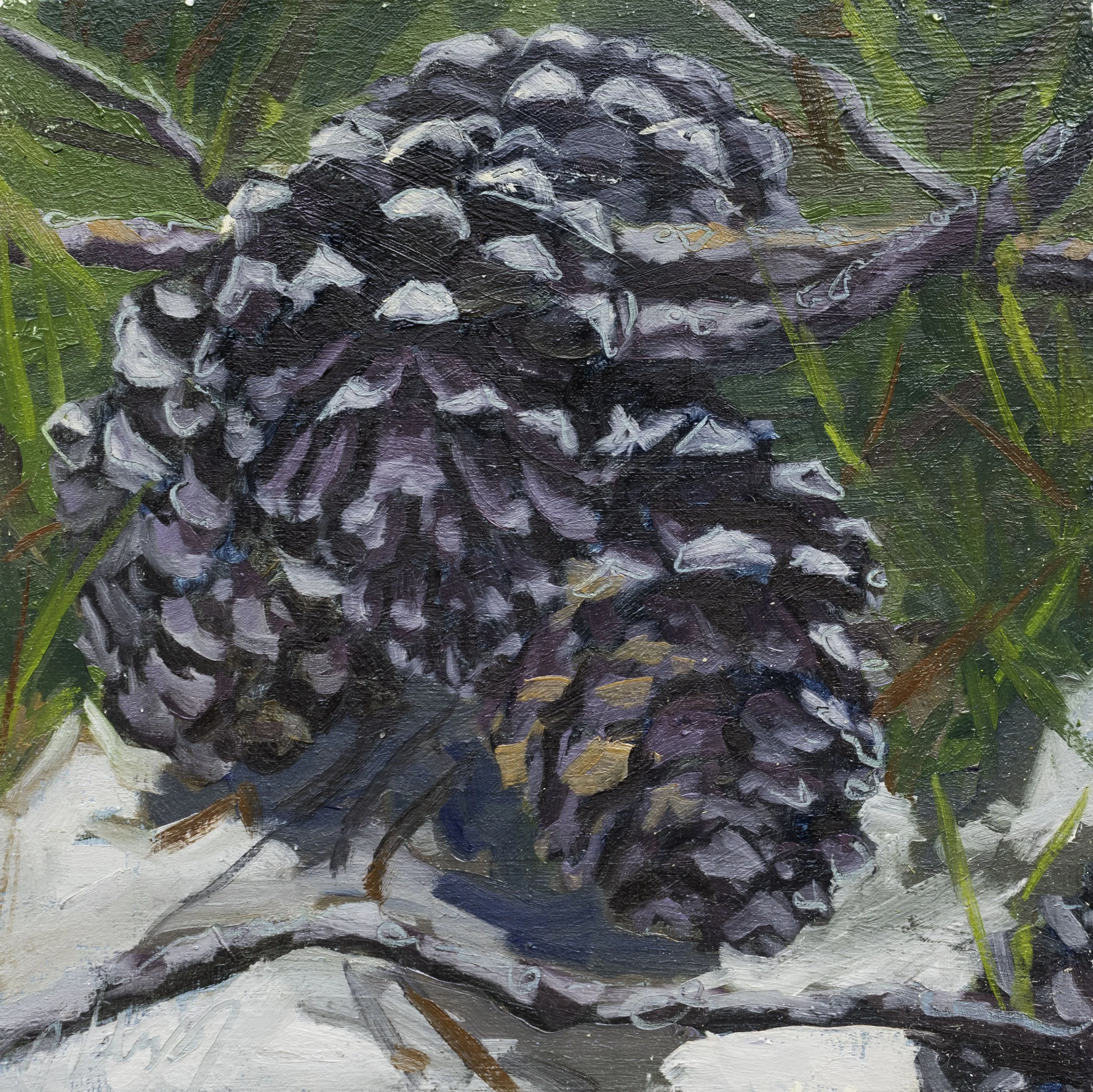 Sandy Pinecones, 8x8", oil on cradled panel, 2024, $100