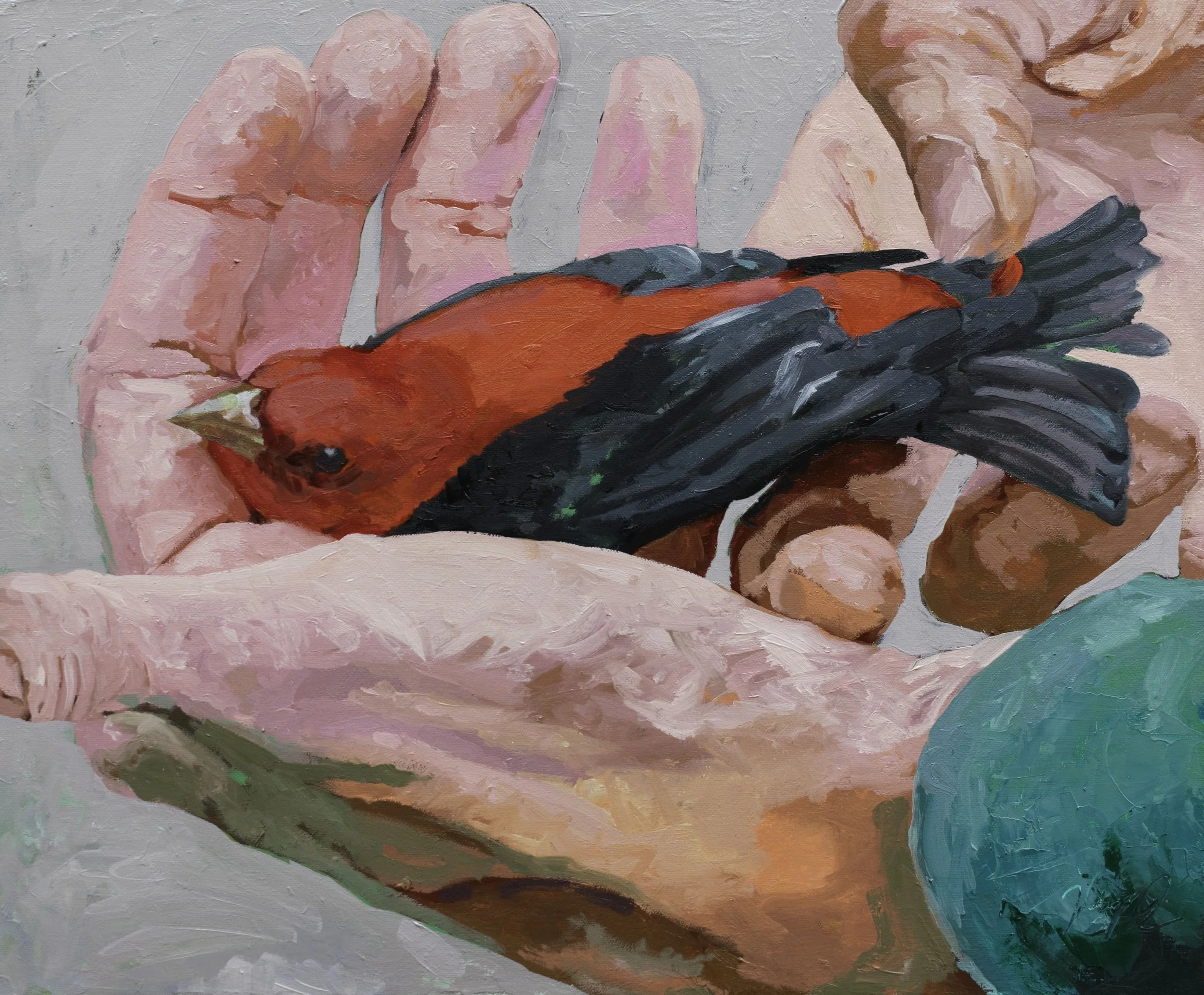 Catch of the Day, 20x24", oil on canvas, 2023, sold 
