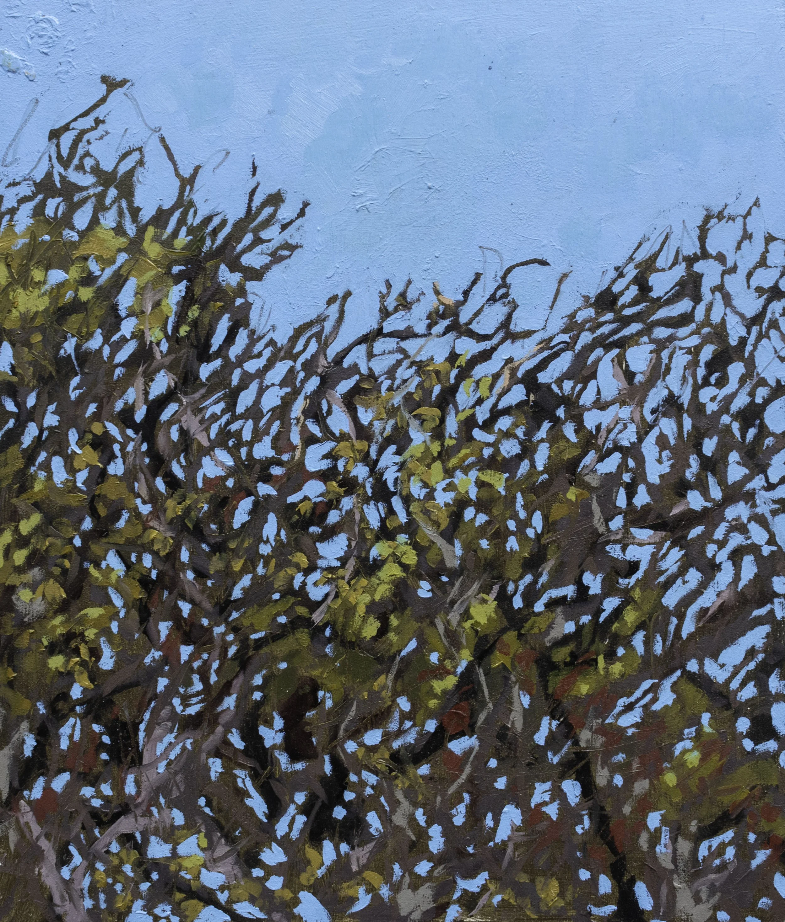 Where the Merlin Landed, 14x12", oil on board, 2024, $150