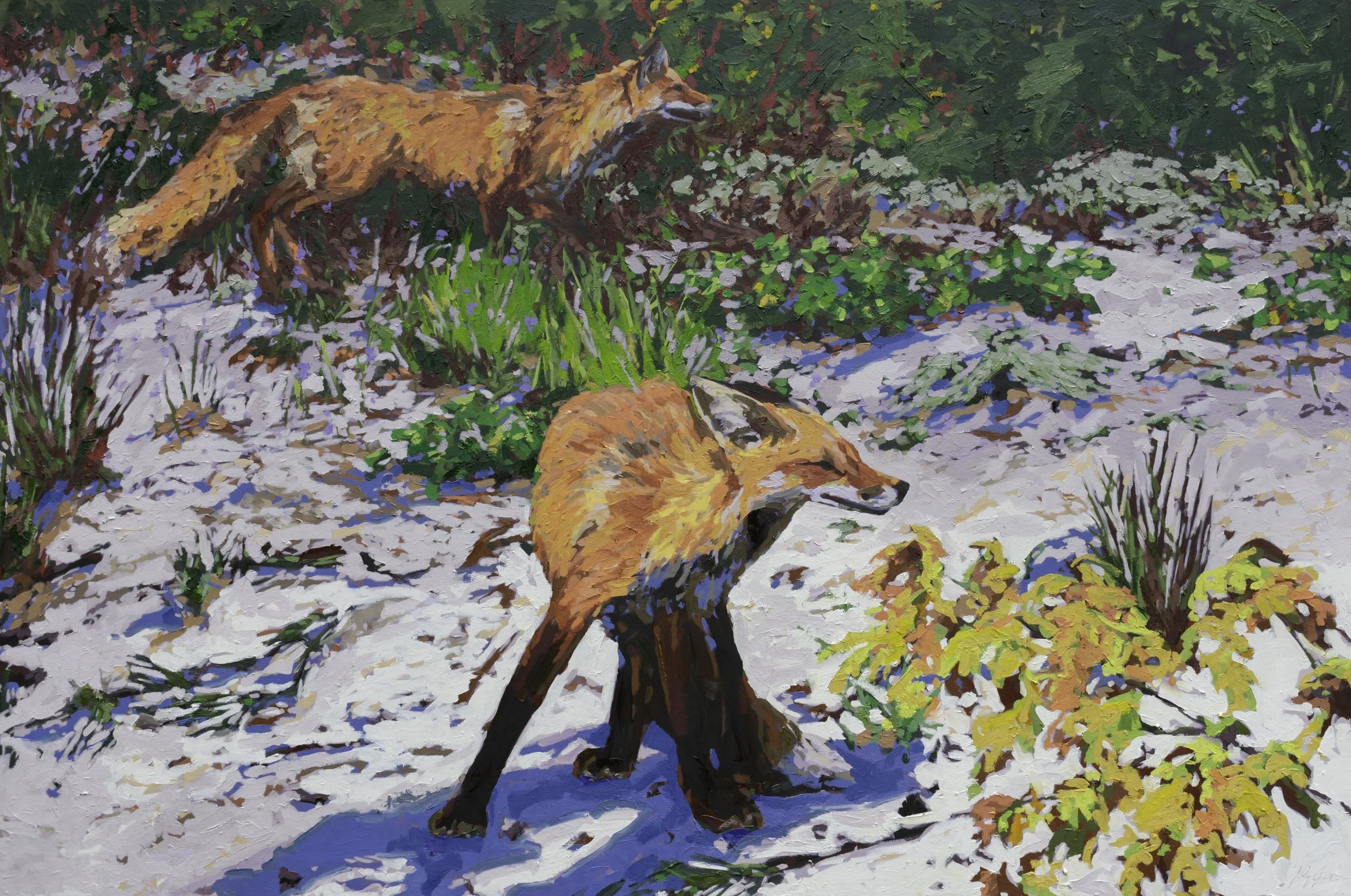 Windswept and Hungry, 40x60", oil on canvas, 2024, $4,800