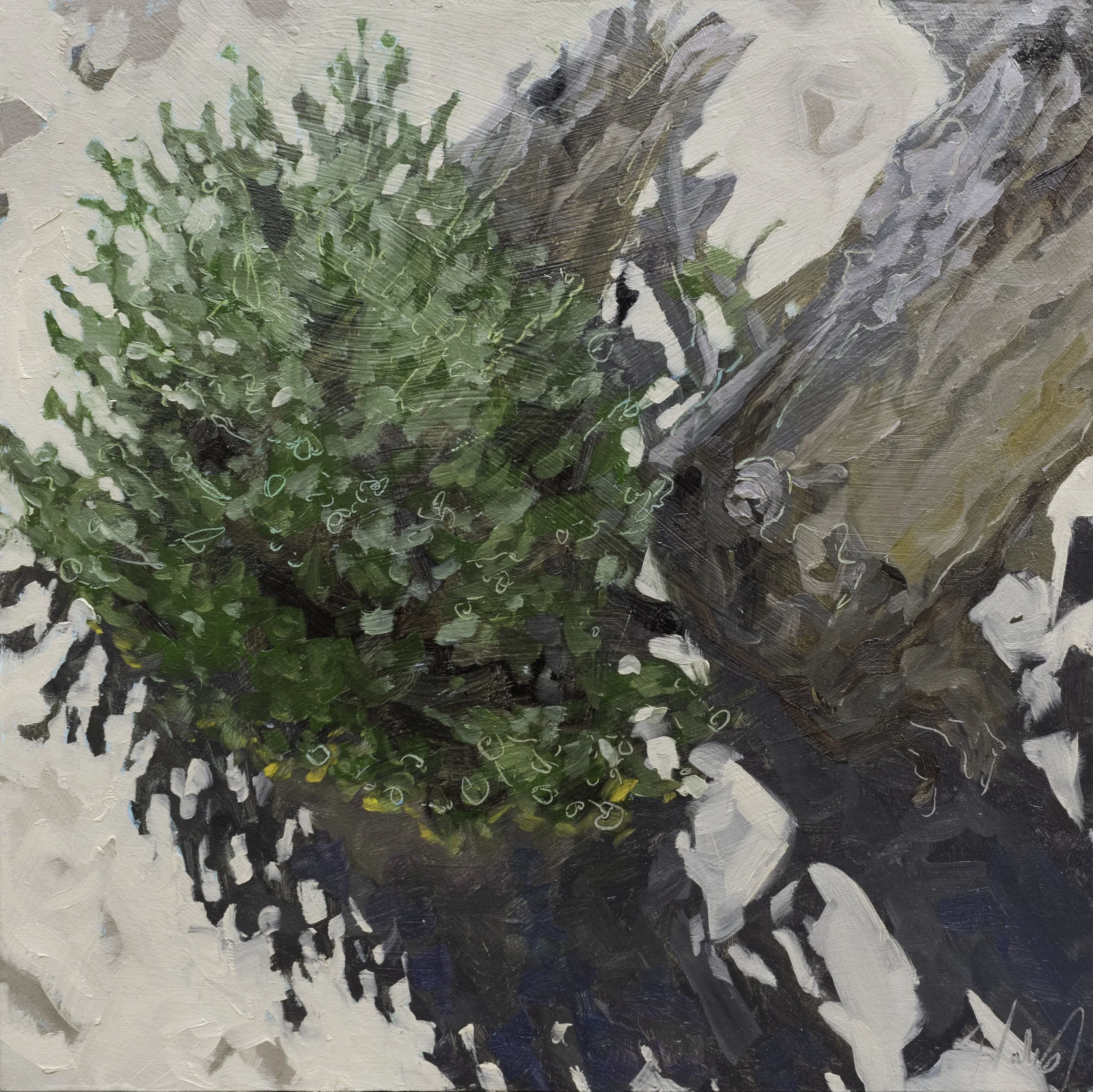 Shadows in the Sand, 12x12", oil on cradled panel, 2024, $150