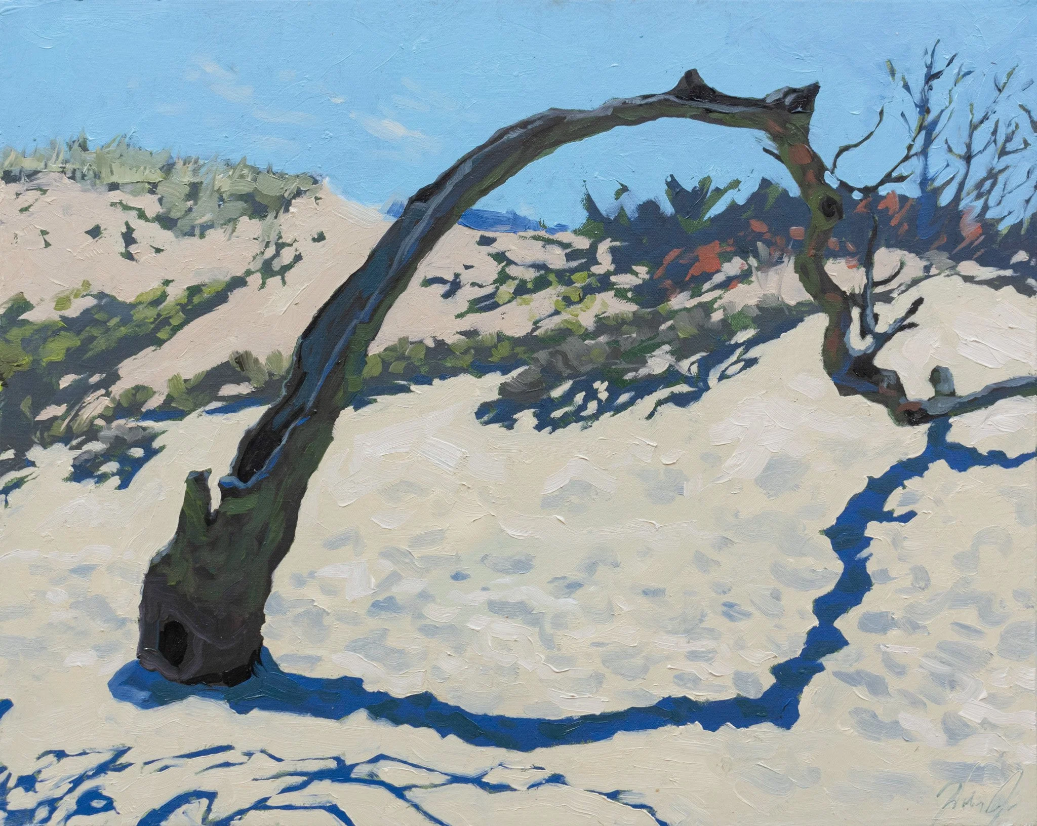 The Old Tree, 16x20", oil on canvas, 2024, $600