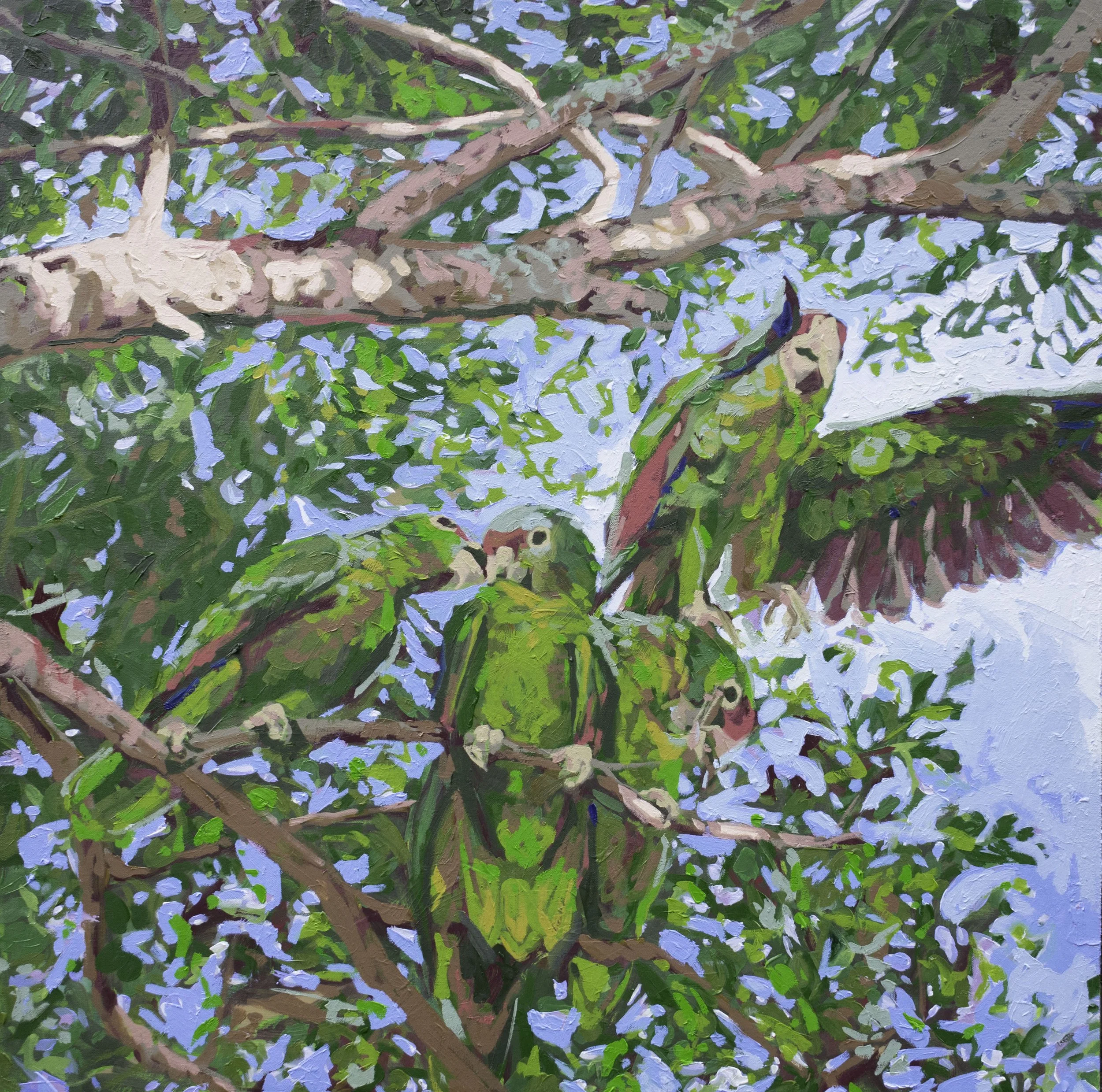Good Morning, 28x28", oil on canvas, 2025, sold 