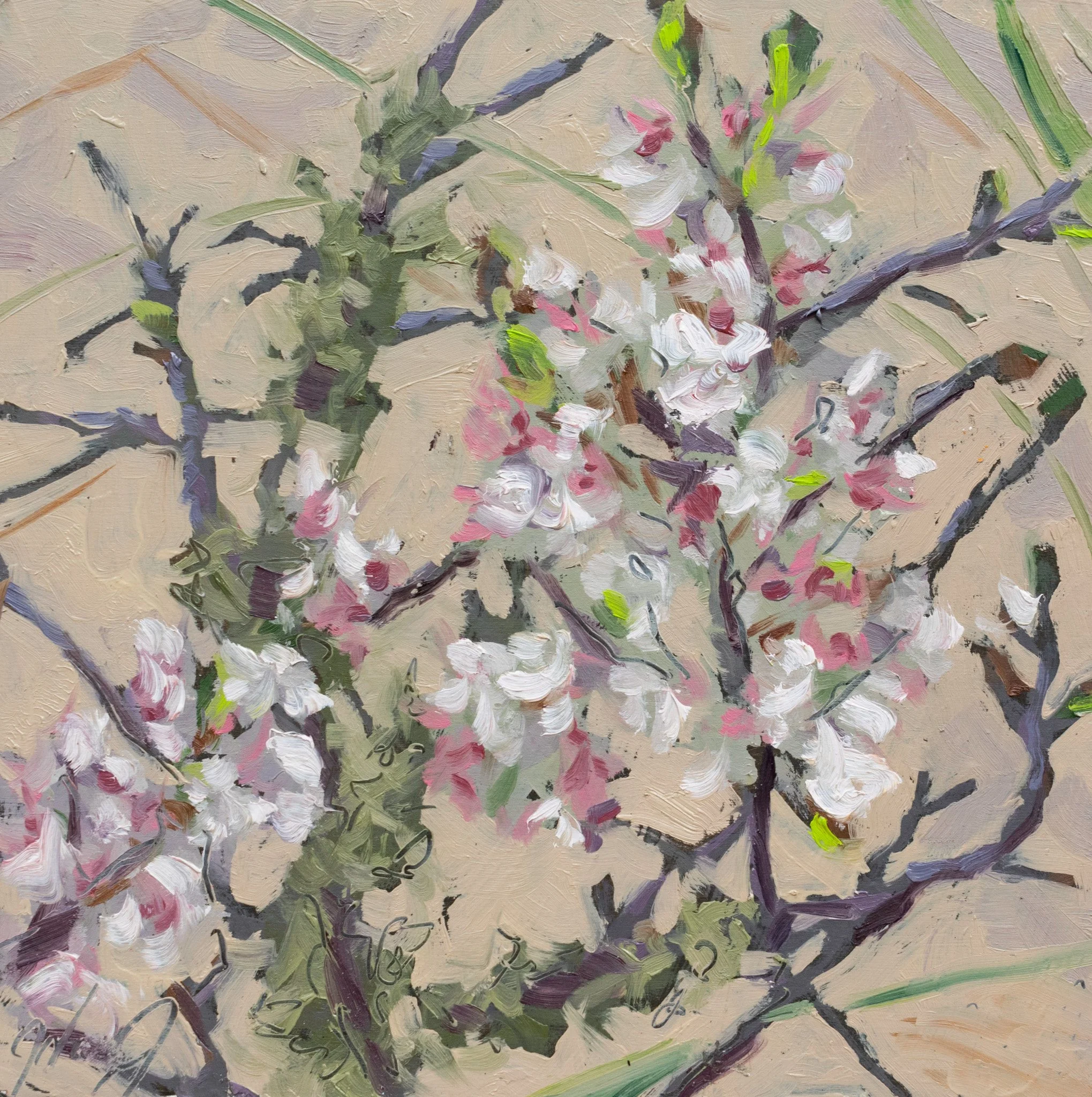 Sand Cherry, 8x8", oil on cradled panel, 2024, $100