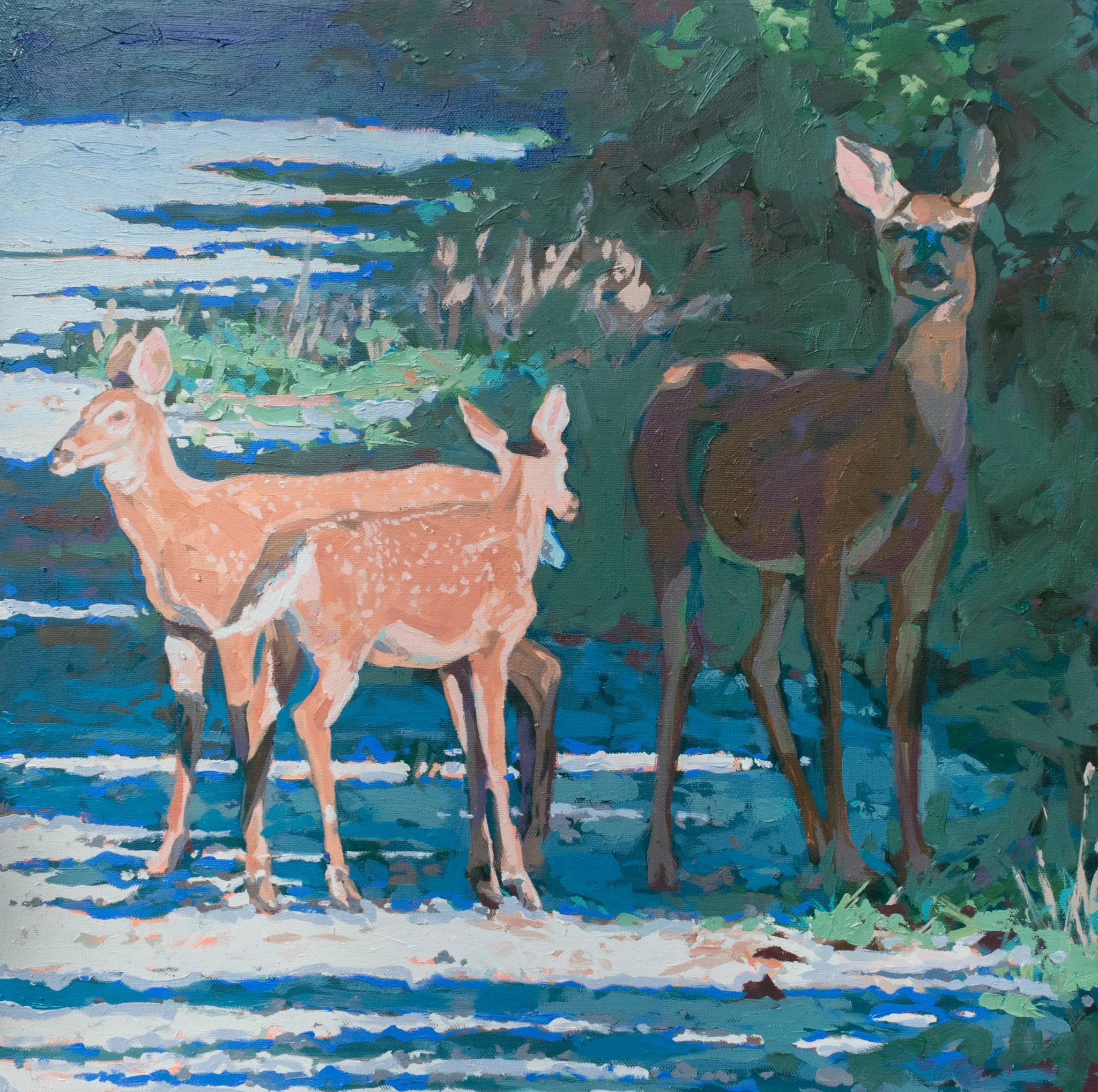 Not So Fast, 18x18", oil on canvas, 2026, $650