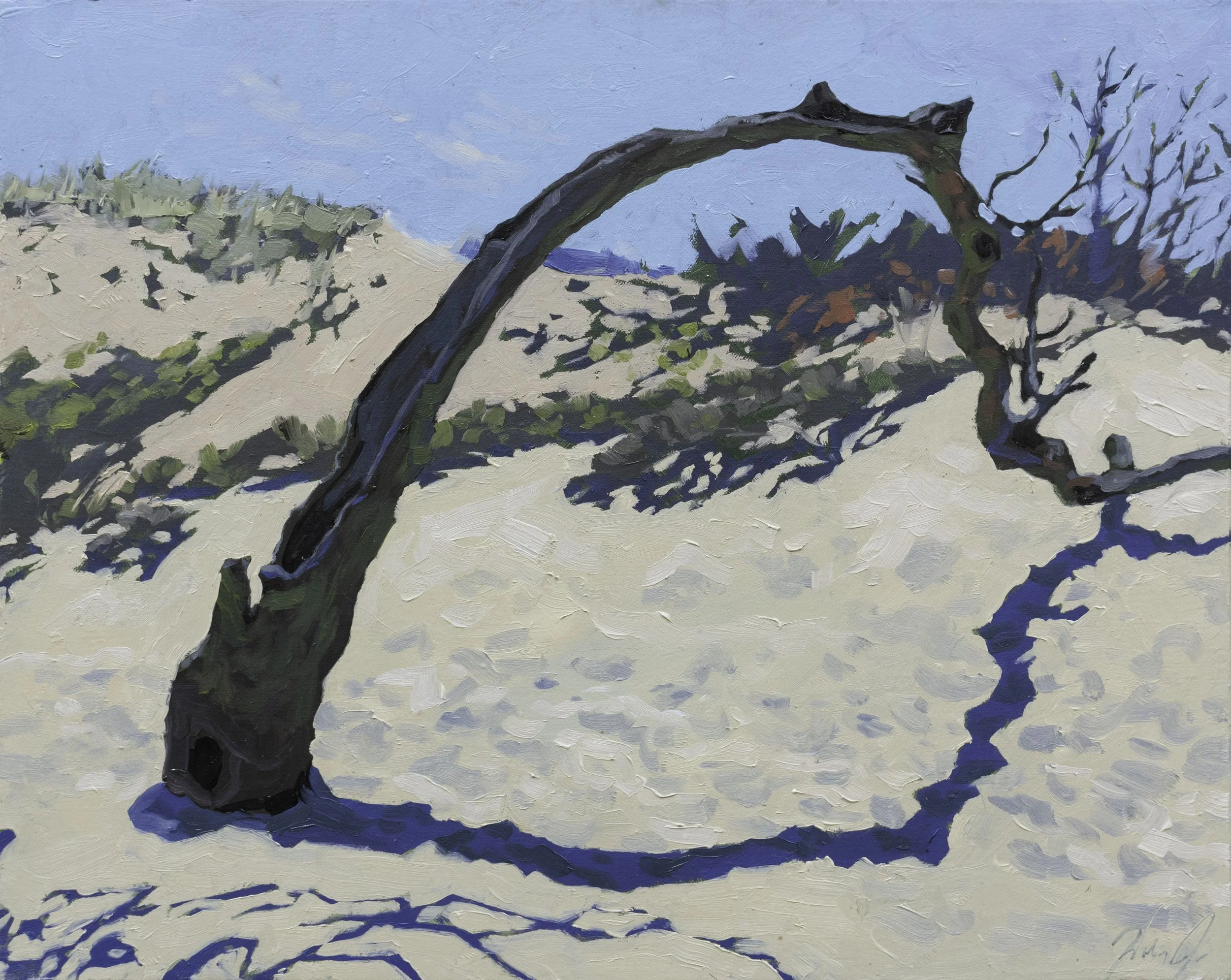 The Old Tree, 16x20", oil on canvas, 2024, $600