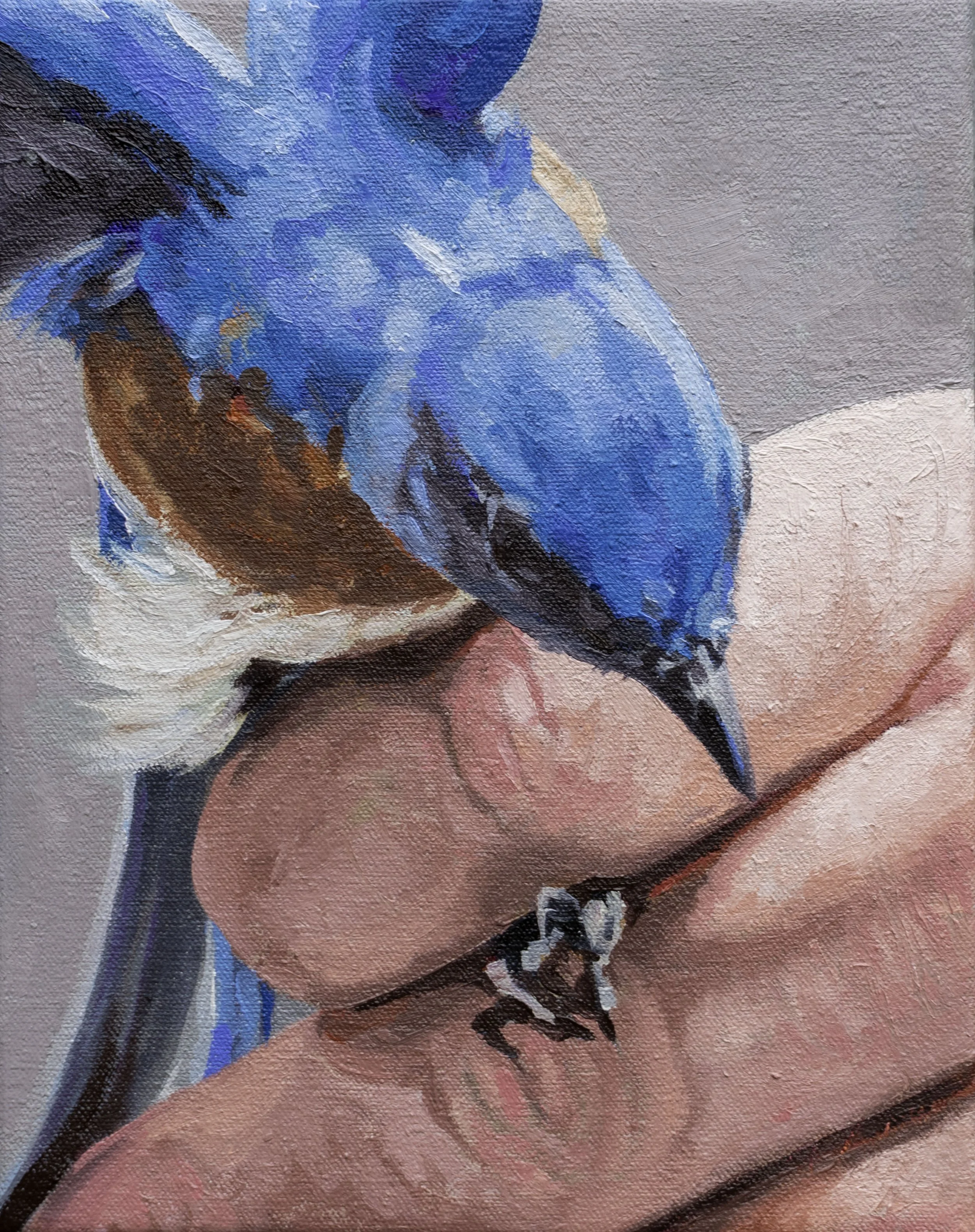 Blue Band, 10x8",. oil on canvas, 2024, sold 