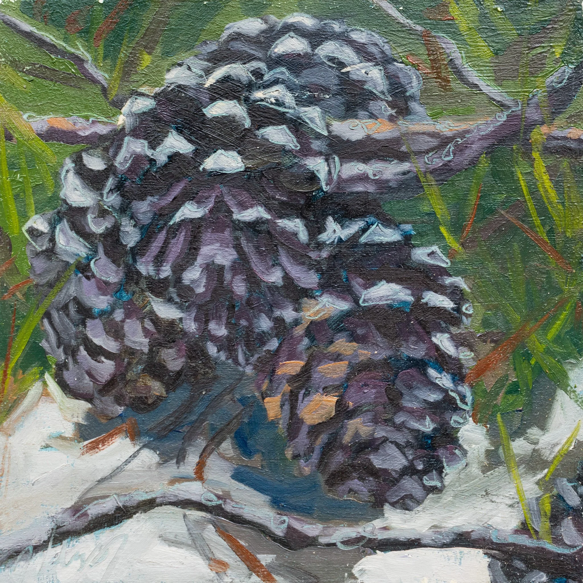 Sandy Pinecones, 8x8", oil on cradled panel, 2024, $100