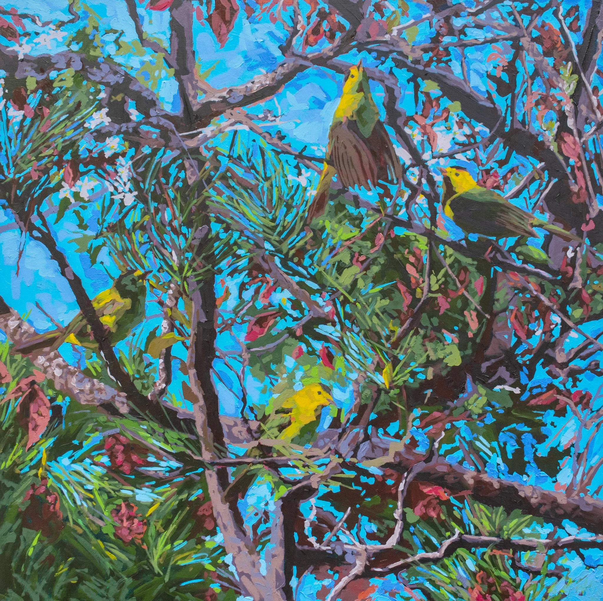 Warblers in the Green, 32x32", oil on canvas, 2025, sold 