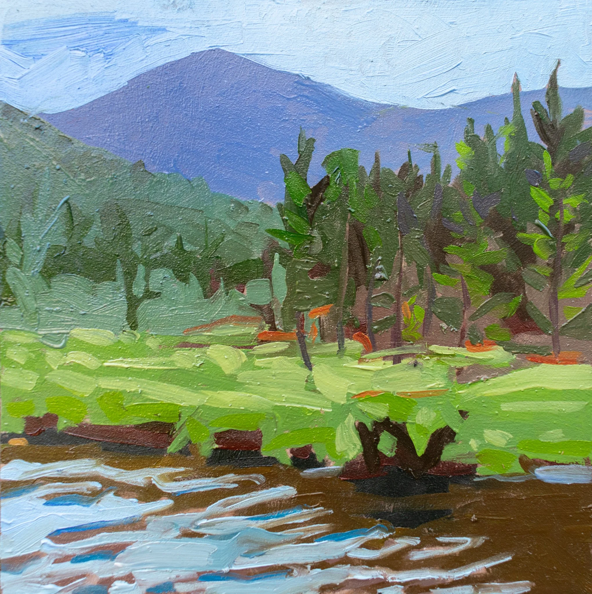 View from Canoe, 7.75x7.75", oil on masonite, 2026, $100