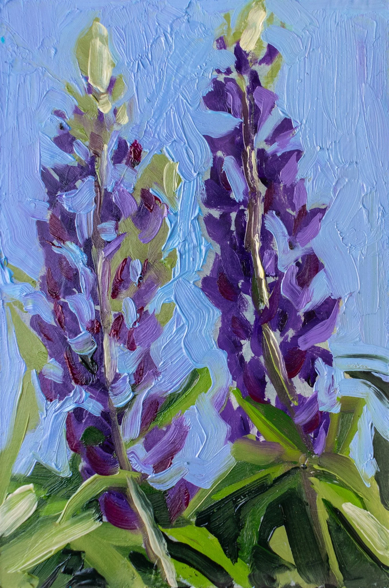 Lupines, 6x4", oil on crescent board, 2026, $75