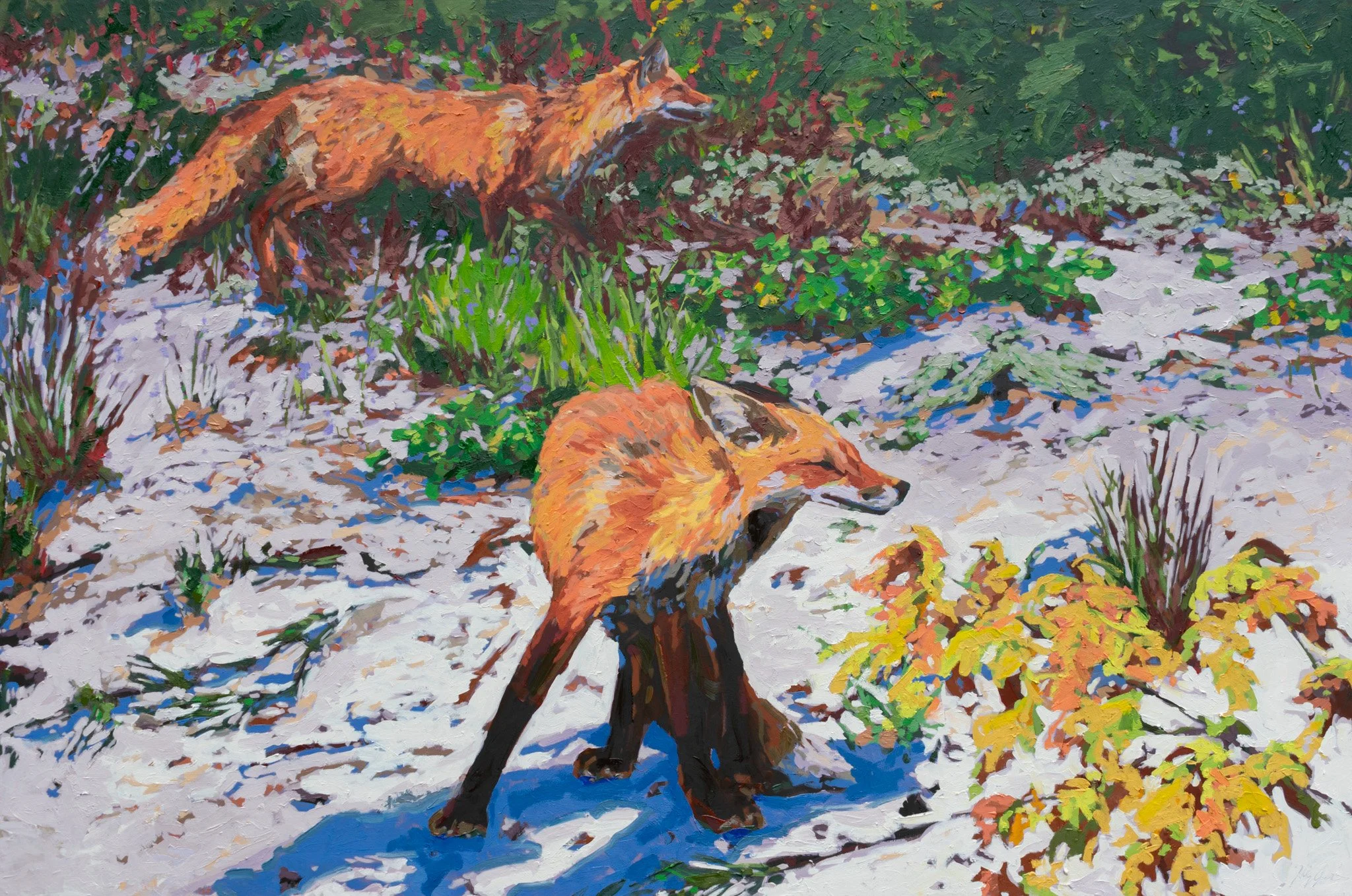 Windswept and Hungry, 40x60", oil on canvas, 2024, $4,800