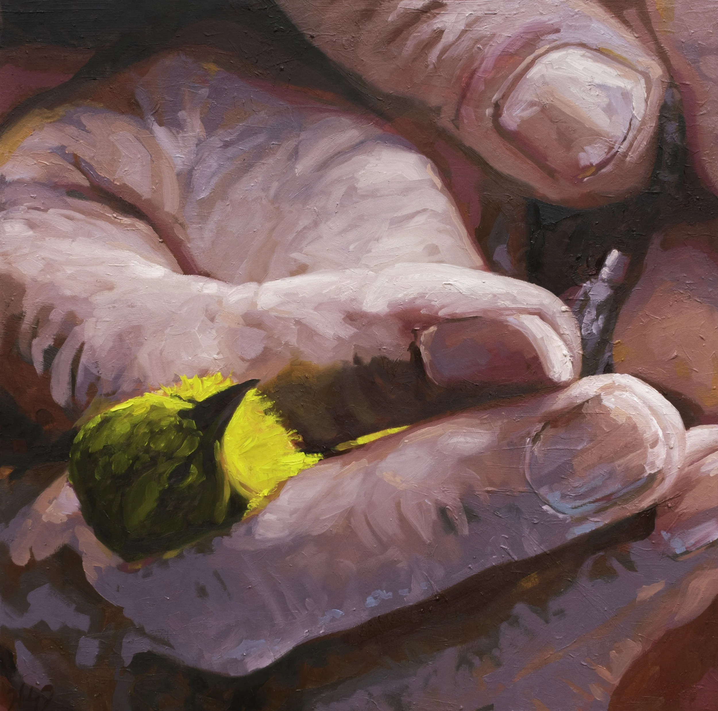 Double Checking, 24x24", oil on canvas, 2024, $1,200