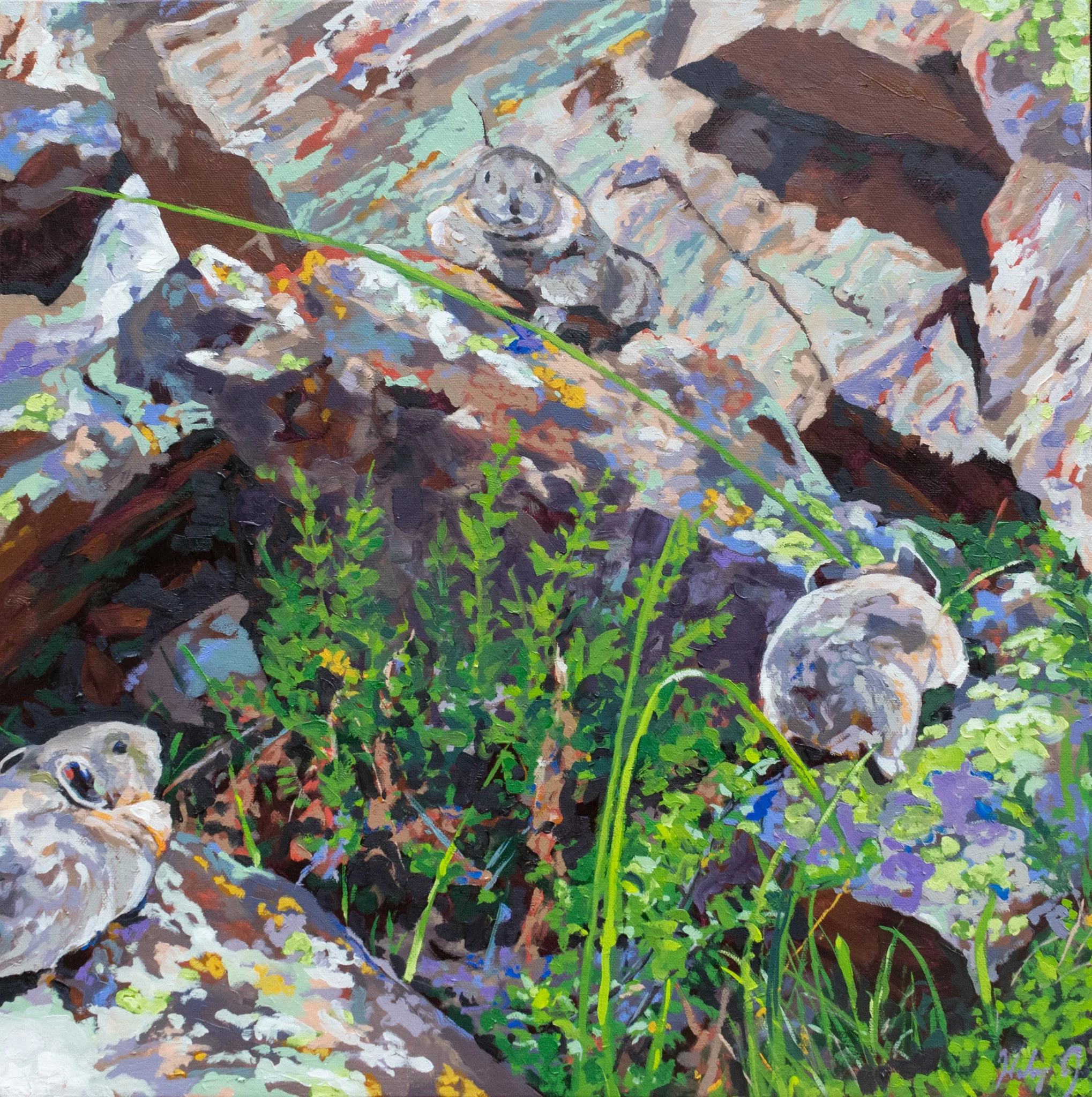 Four Pass Pika, 20x20", oil on canvas, 2023, $1,000