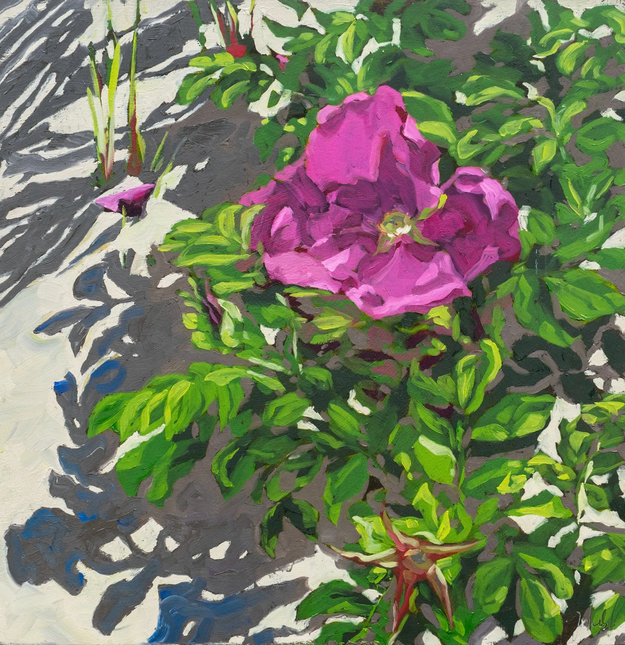 In Full Bloom, 17.25x16.75", oil on board, 2024, $300