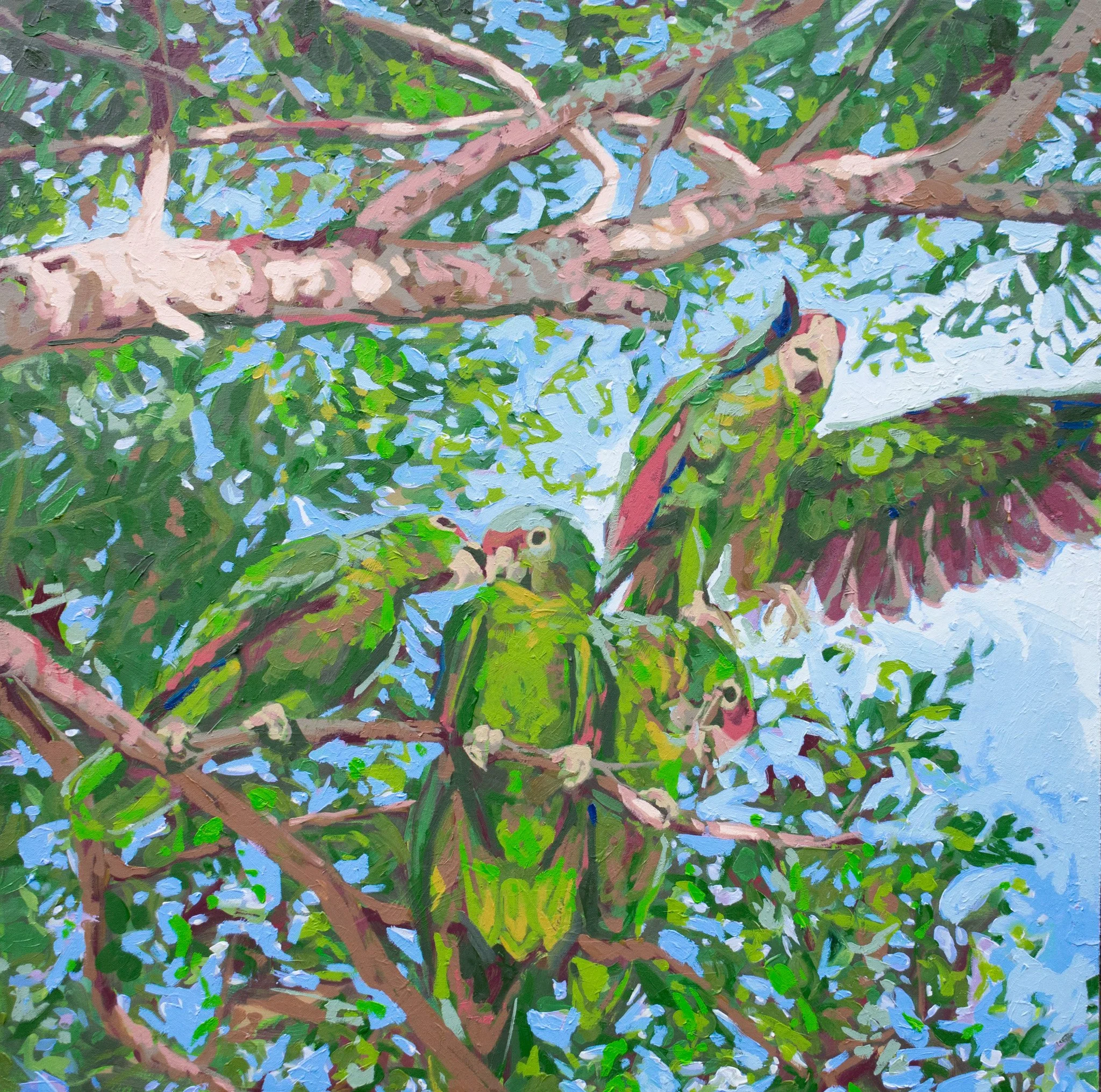 Good Morning, 28x28", oil on canvas, 2025, sold 