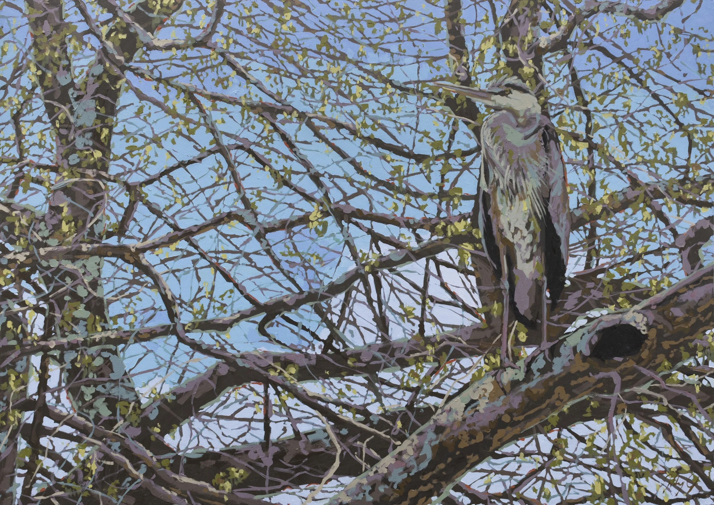 Perch, 30x42", oil on canvas, 2024, sold