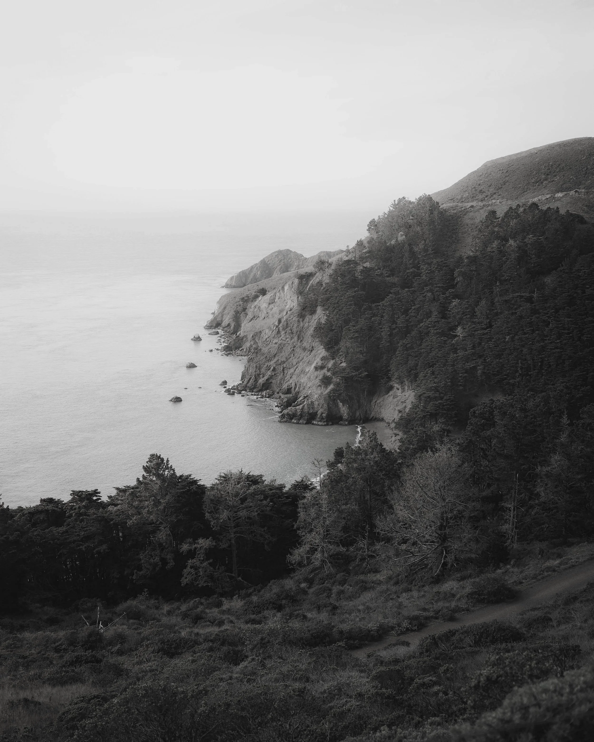 A panoramic black and white view of a rugged coastline with cliffs, rocky outcroppings, and dense trees, overlooking a calm ocean with a foggy sky in the background.