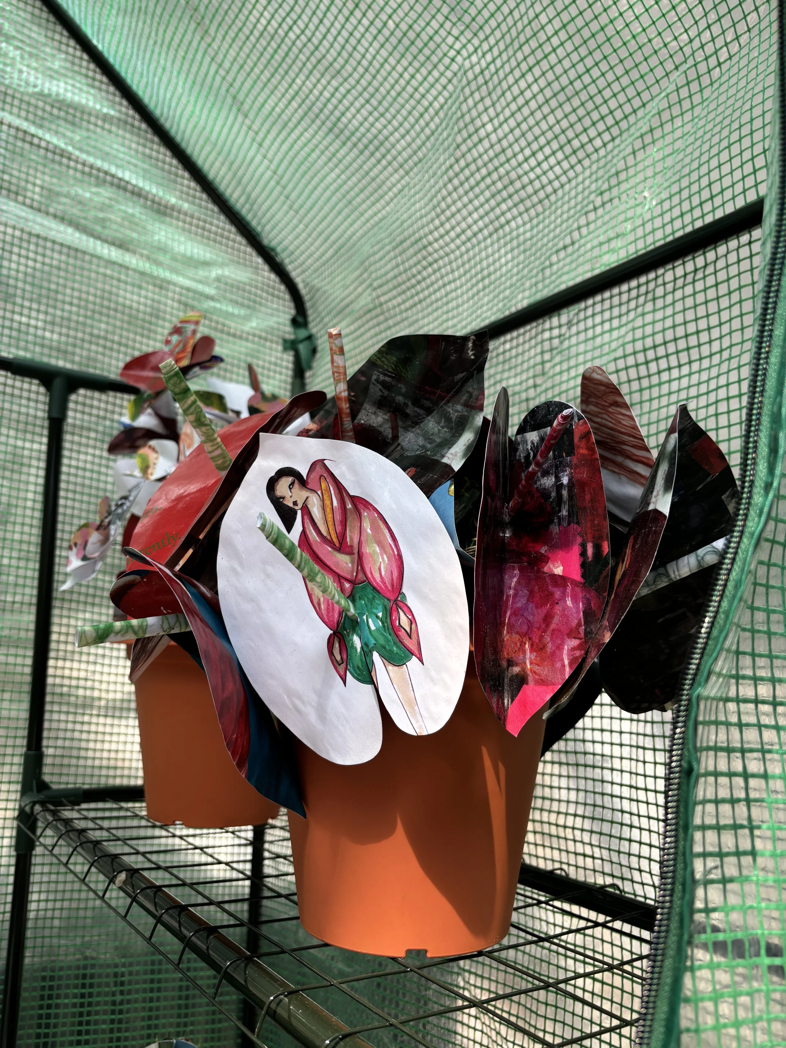 Large flowerpots on a black metal shelf in a green greenhouse, each filled with paper anthuriums. The paper for the origami is photocopied fashion sketchbook work from this project development.