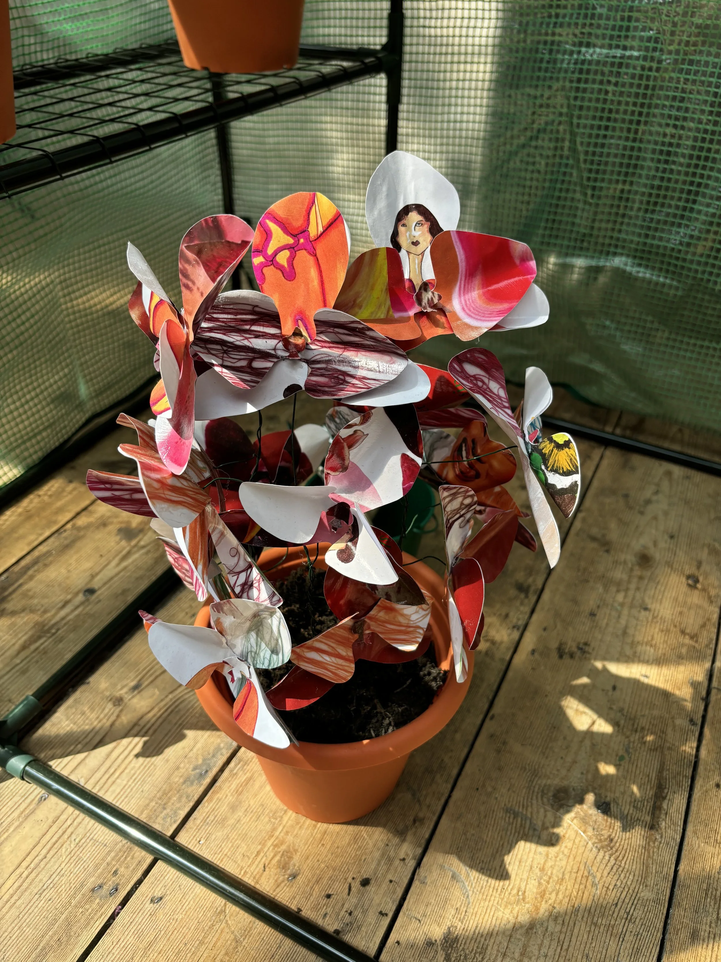 Large flowerpots on a black metal shelf in a green greenhouse, each filled with paper orchids. The paper for the origami is photocopied fashion sketchbook work from this project development.
