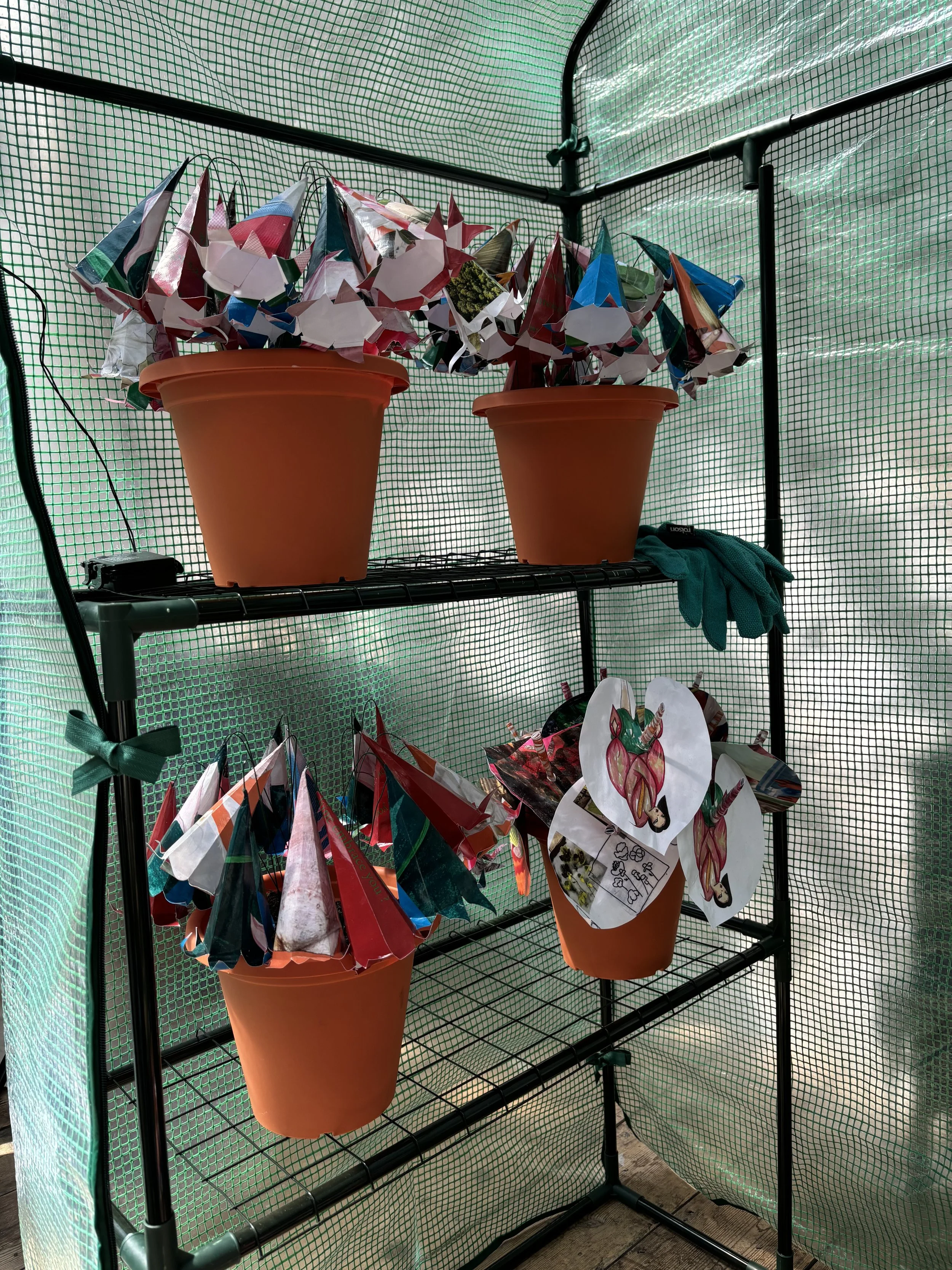 Large flowerpots on a black metal shelf in a green greenhouse, each filled with paper angels trumpet's. The paper for the origami is photocopied fashion sketchbook work from this project development.