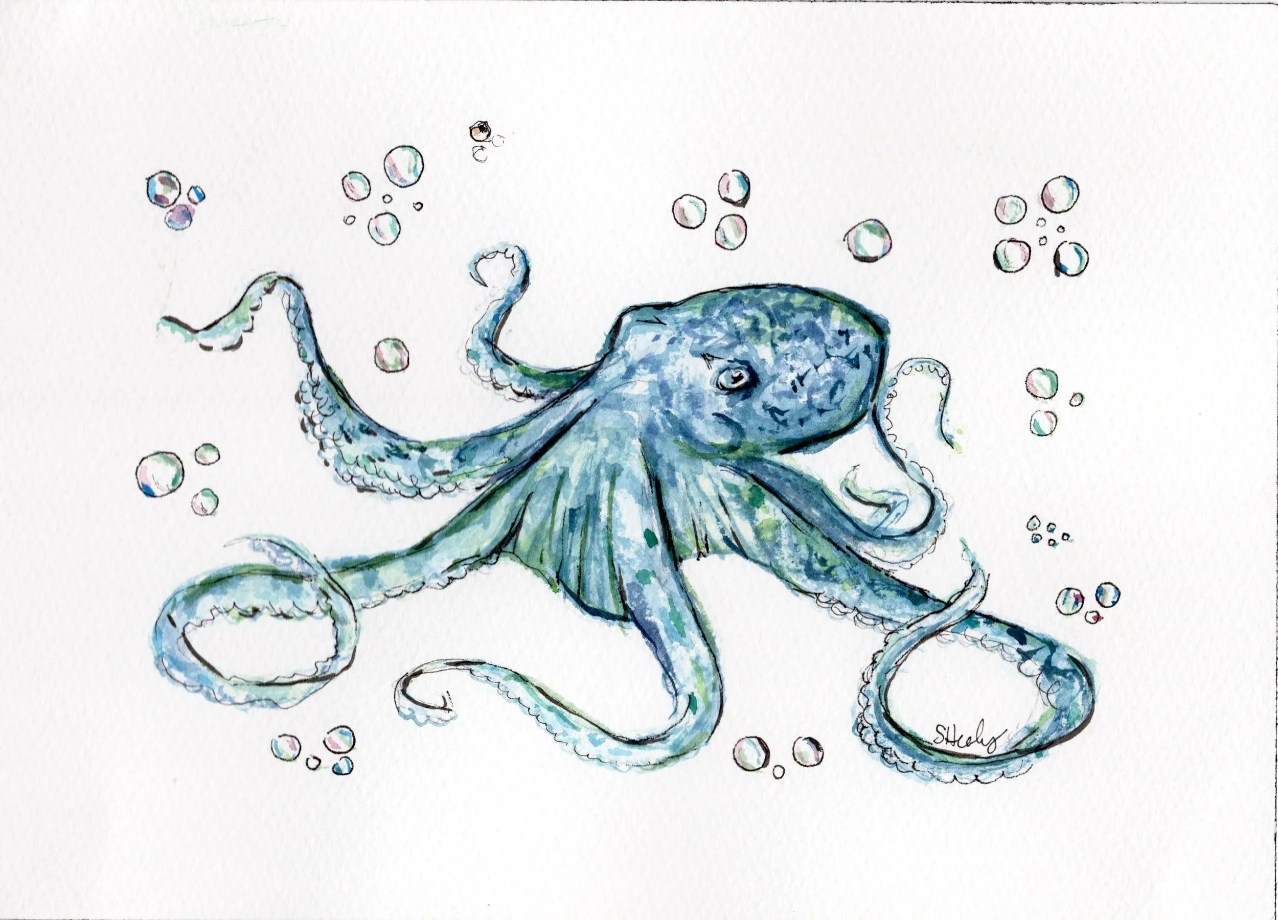octopus.jpg