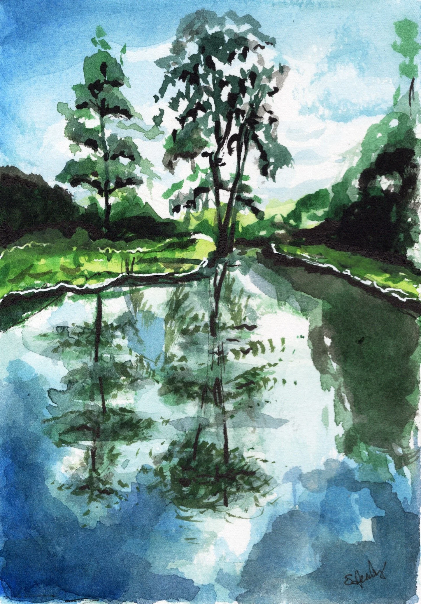Wakulla Springs Giclée