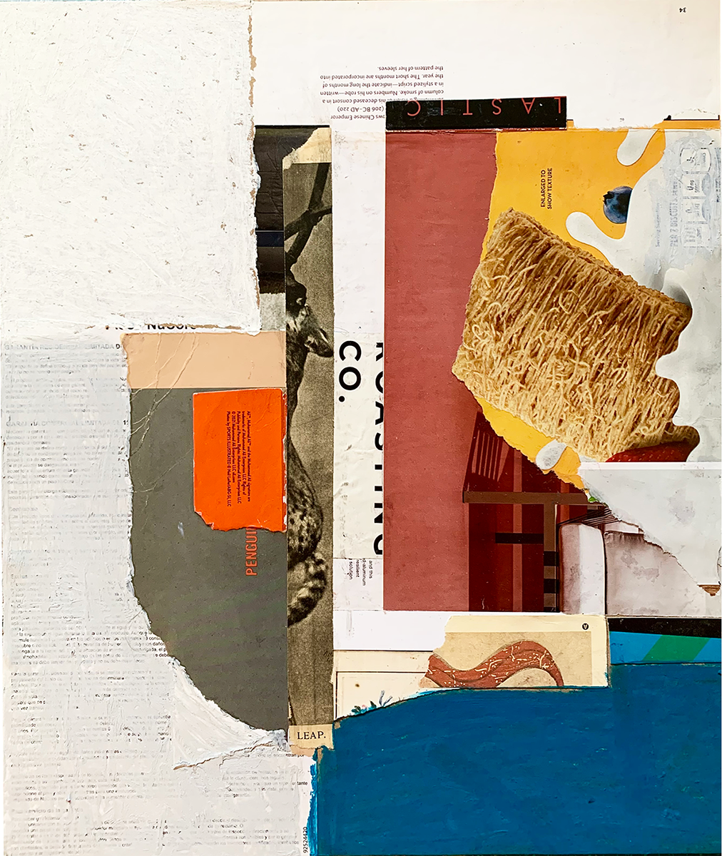 Collage of torn magazine pages and paper fragments featuring various textures, colors, and partial images.