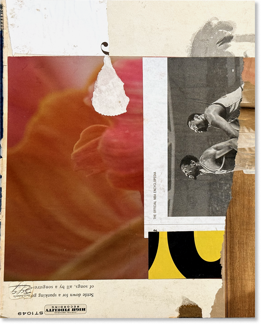 organ/i.(zed)+religion, collage, 12.5"H x 10.5"W